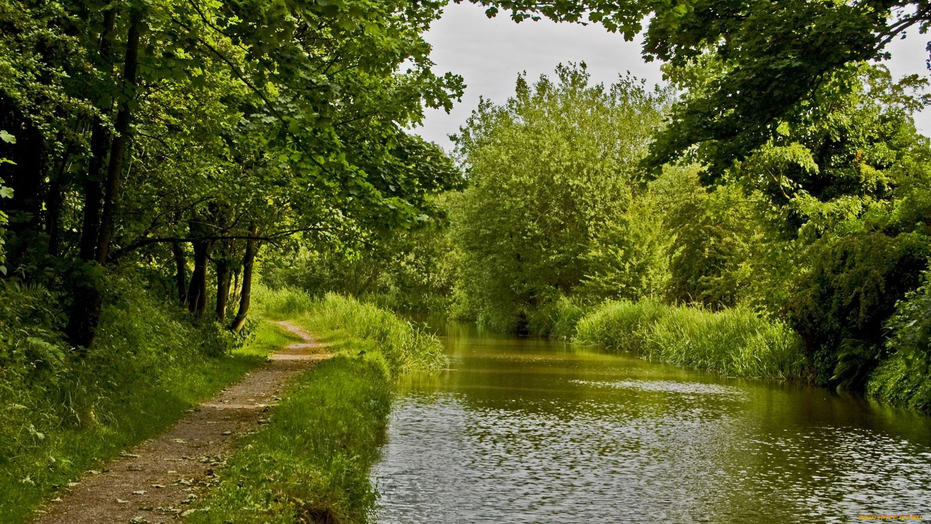 great, britain, природа, реки, озера, пейзаж, лес, деревья, англия, england, речка, тропинка