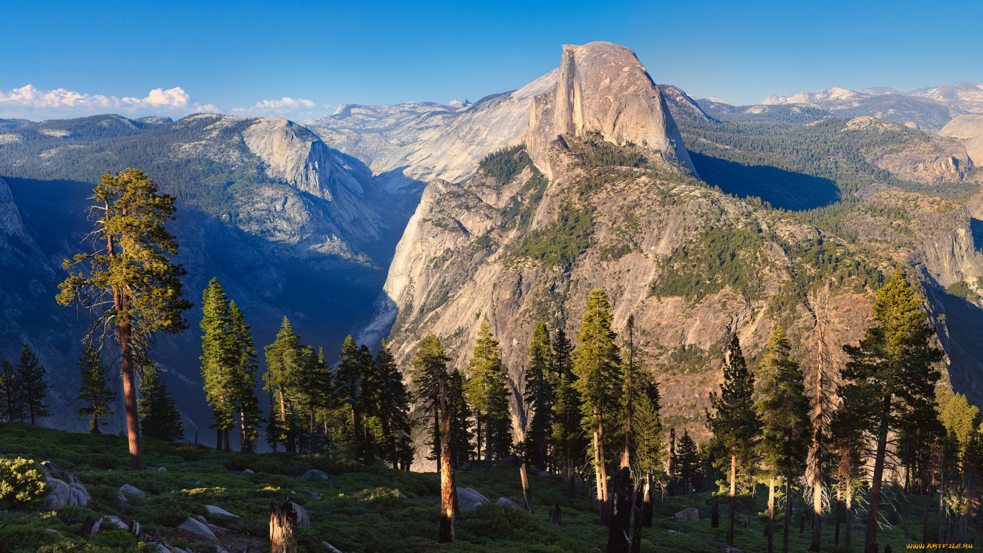 природа, горы, ели, пейзаж, деревья