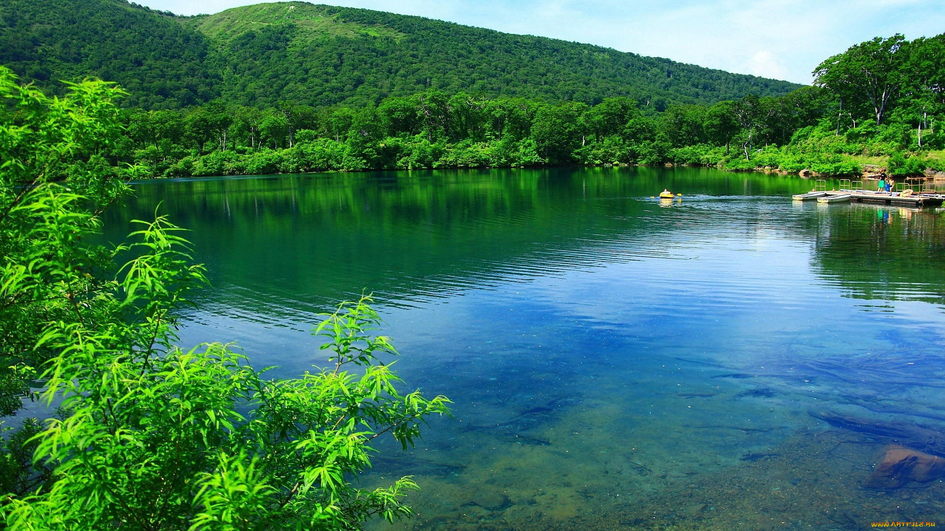 природа, реки, озера, горы, река