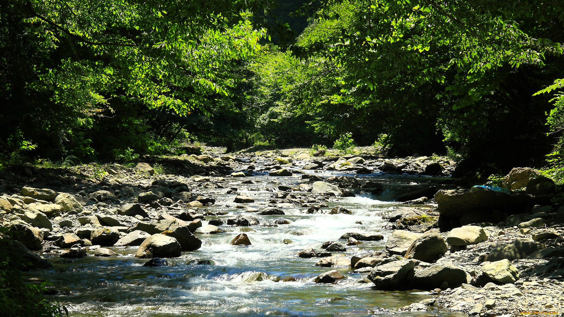 природа, реки, озера, лес, камни, река