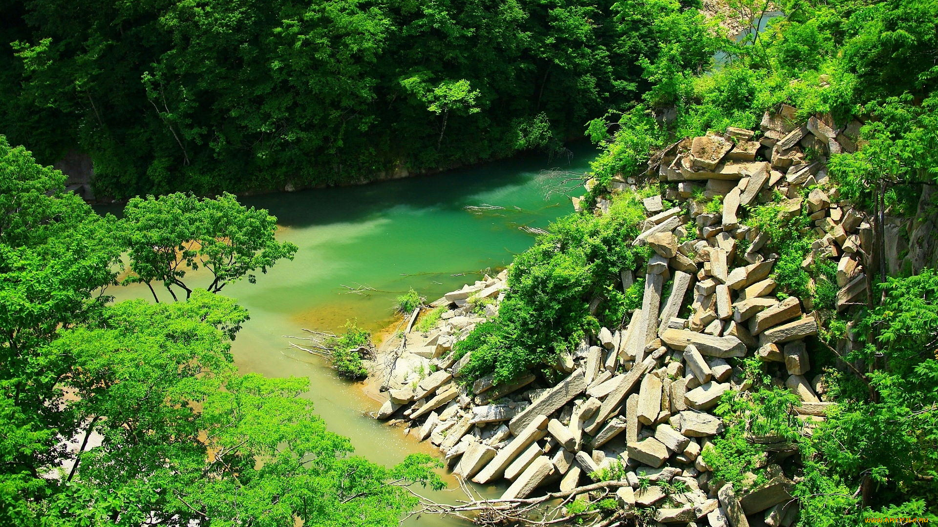 природа, реки, озера, река, камни, деревья