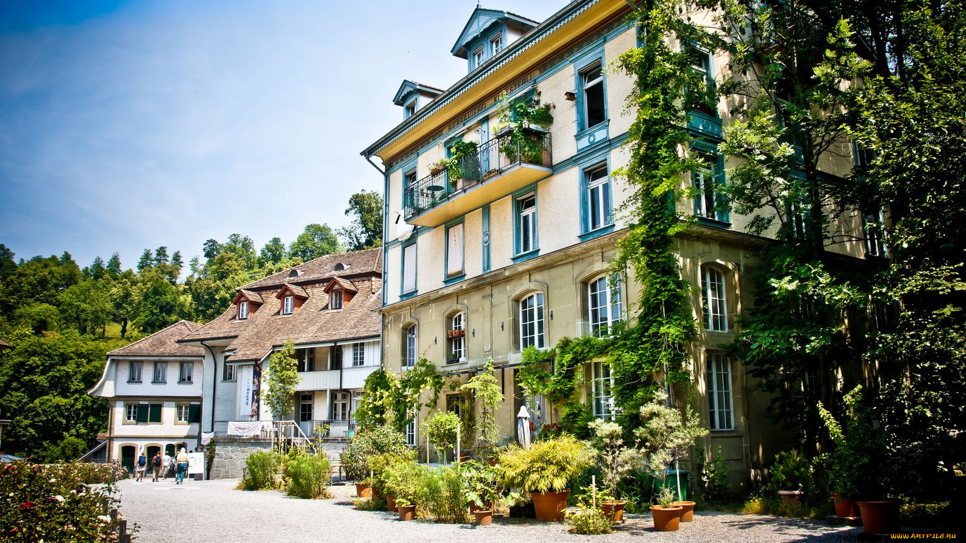 switzerland, города, улицы, площади, набережные, швейцария, вазы, дома, деревья