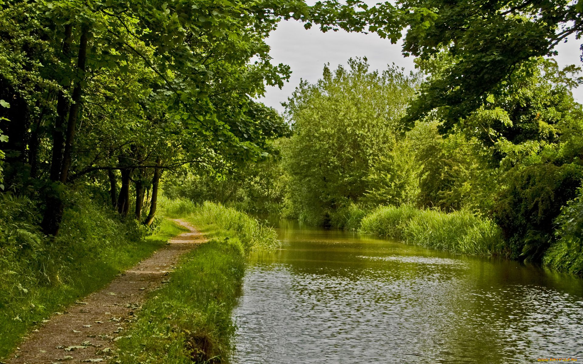 great, britain, природа, реки, озера, пейзаж, лес, деревья, англия, england, речка, тропинка