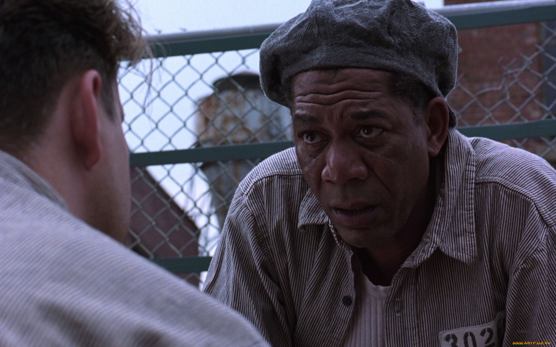 кино, фильмы, the, shawshank, redemption, разговор, забор