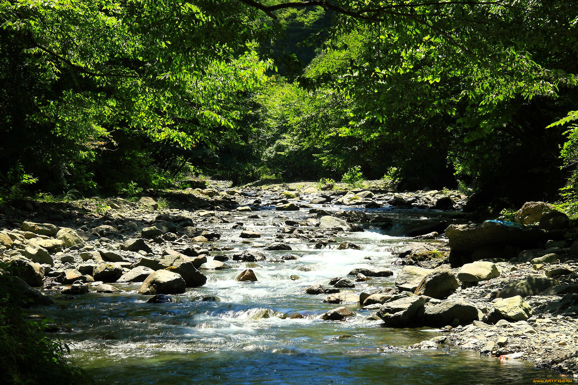 природа, реки, озера, лес, камни, река