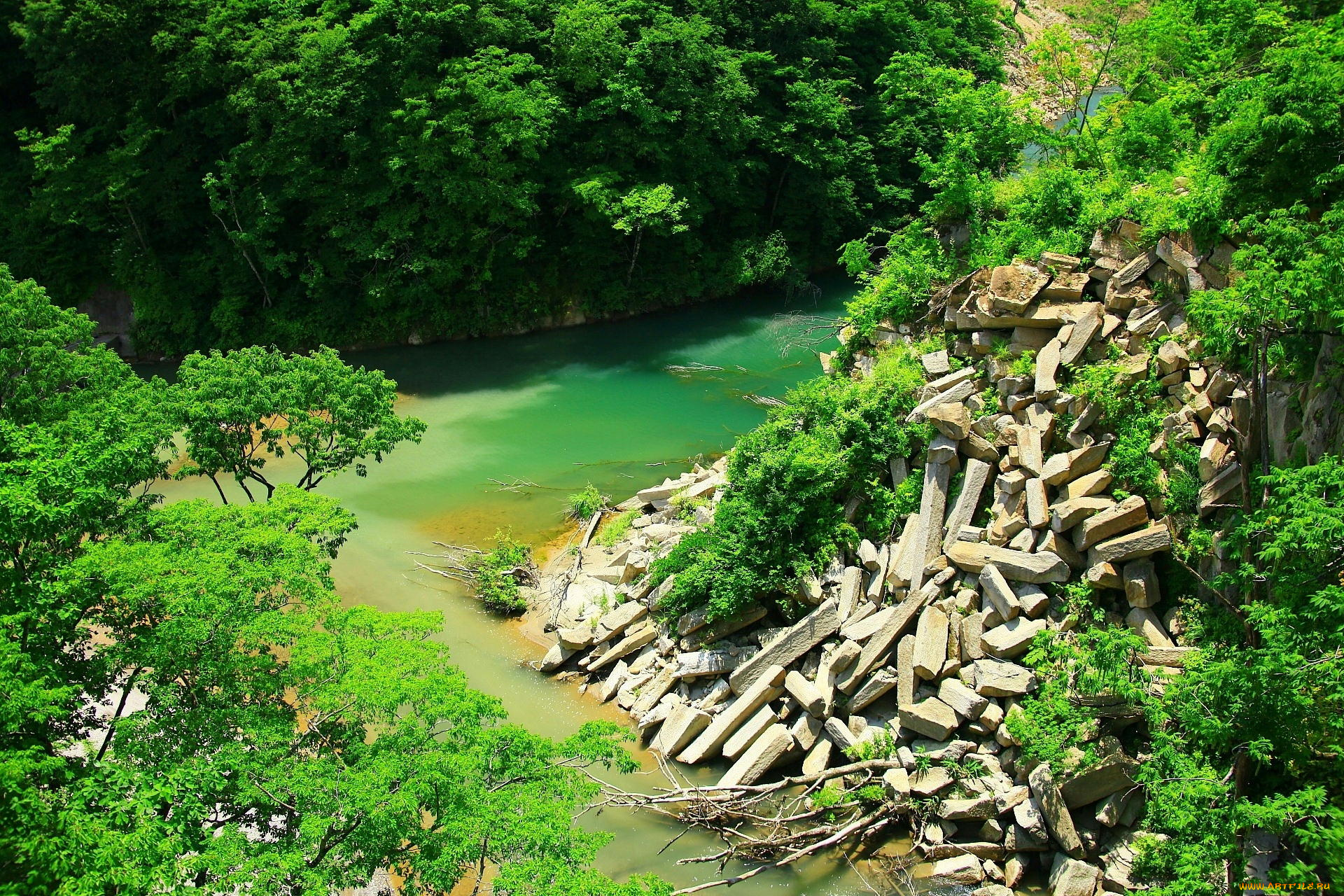 природа, реки, озера, река, камни, деревья