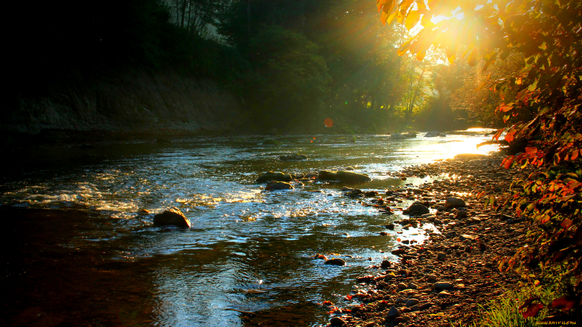 германия, амтцелль, природа, реки, озера, лес, река, закат, осень