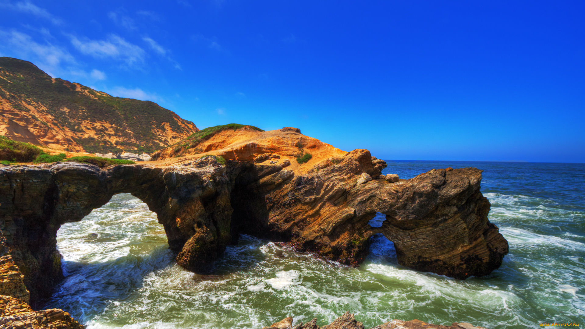 mussel, rock, природа, побережье, скалы, волны, берег