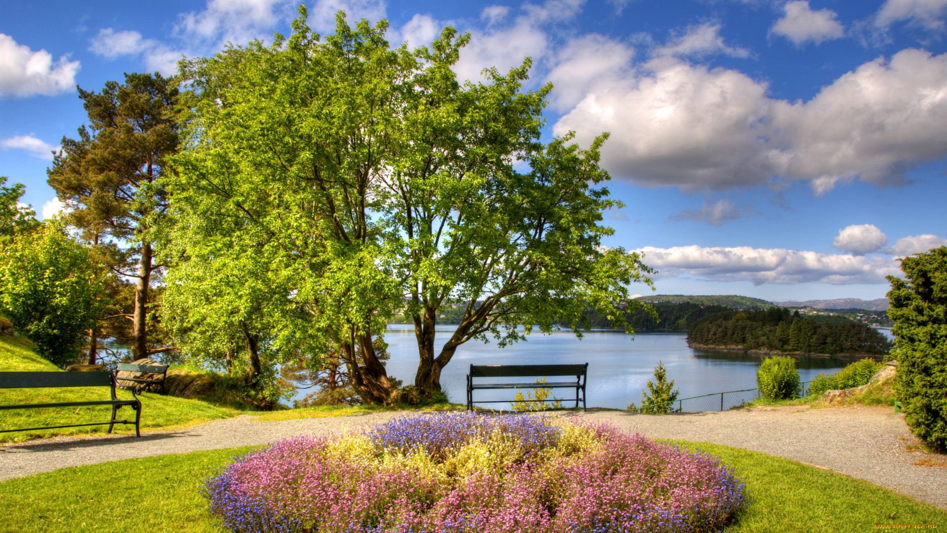 норвегия, берген, природа, парк, клумба, цветы, река