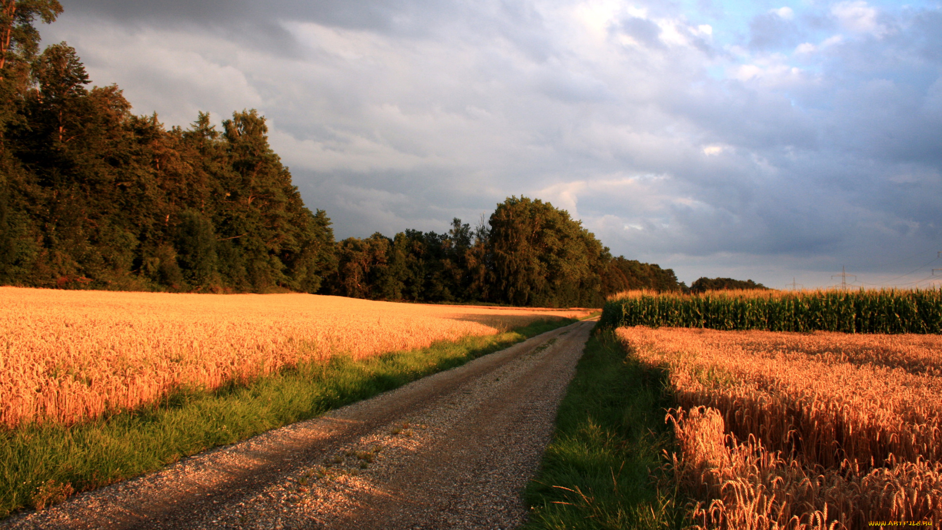 природа, дороги, поля, дорога