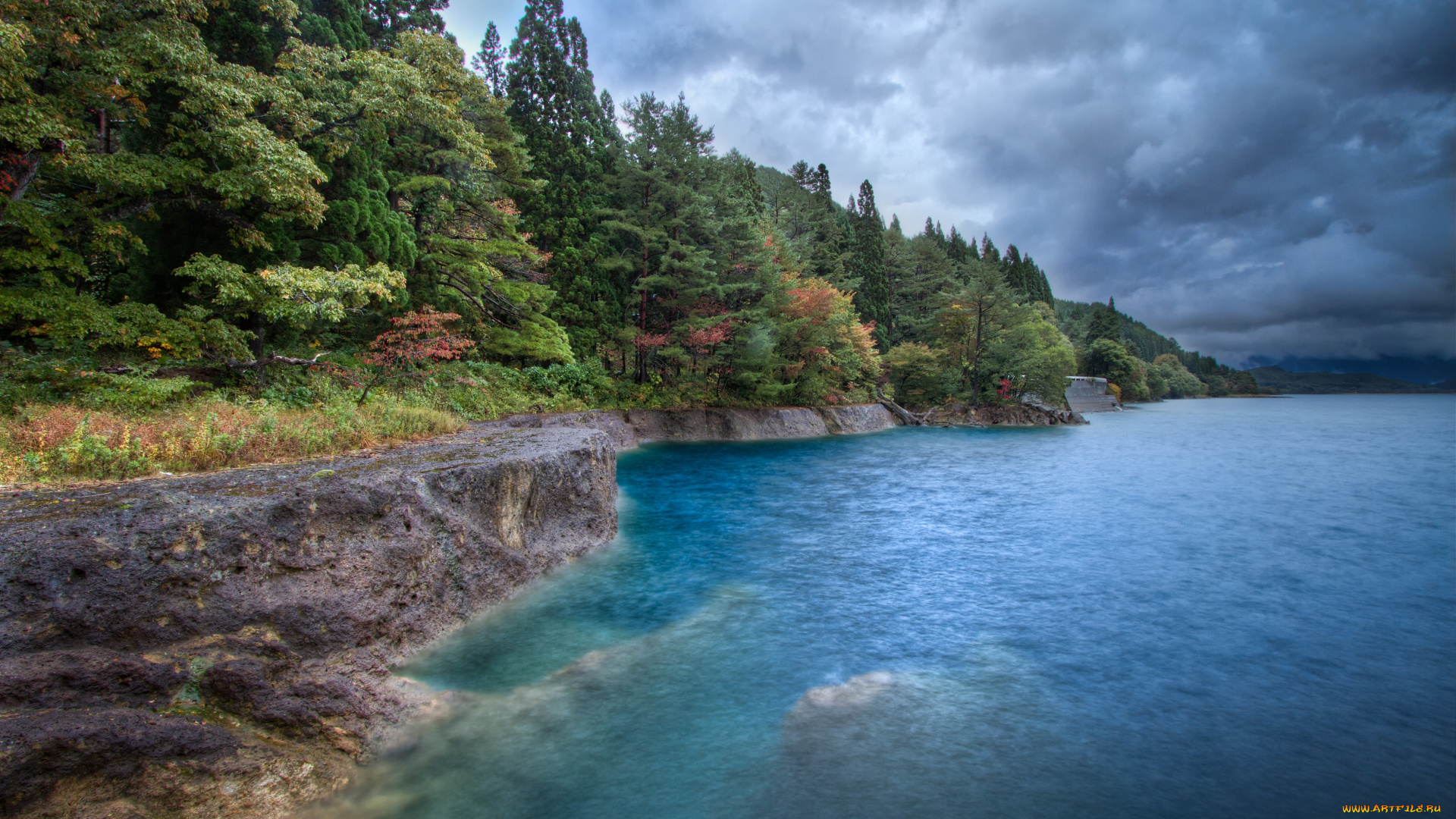 природа, побережье, вода, деревья, лес