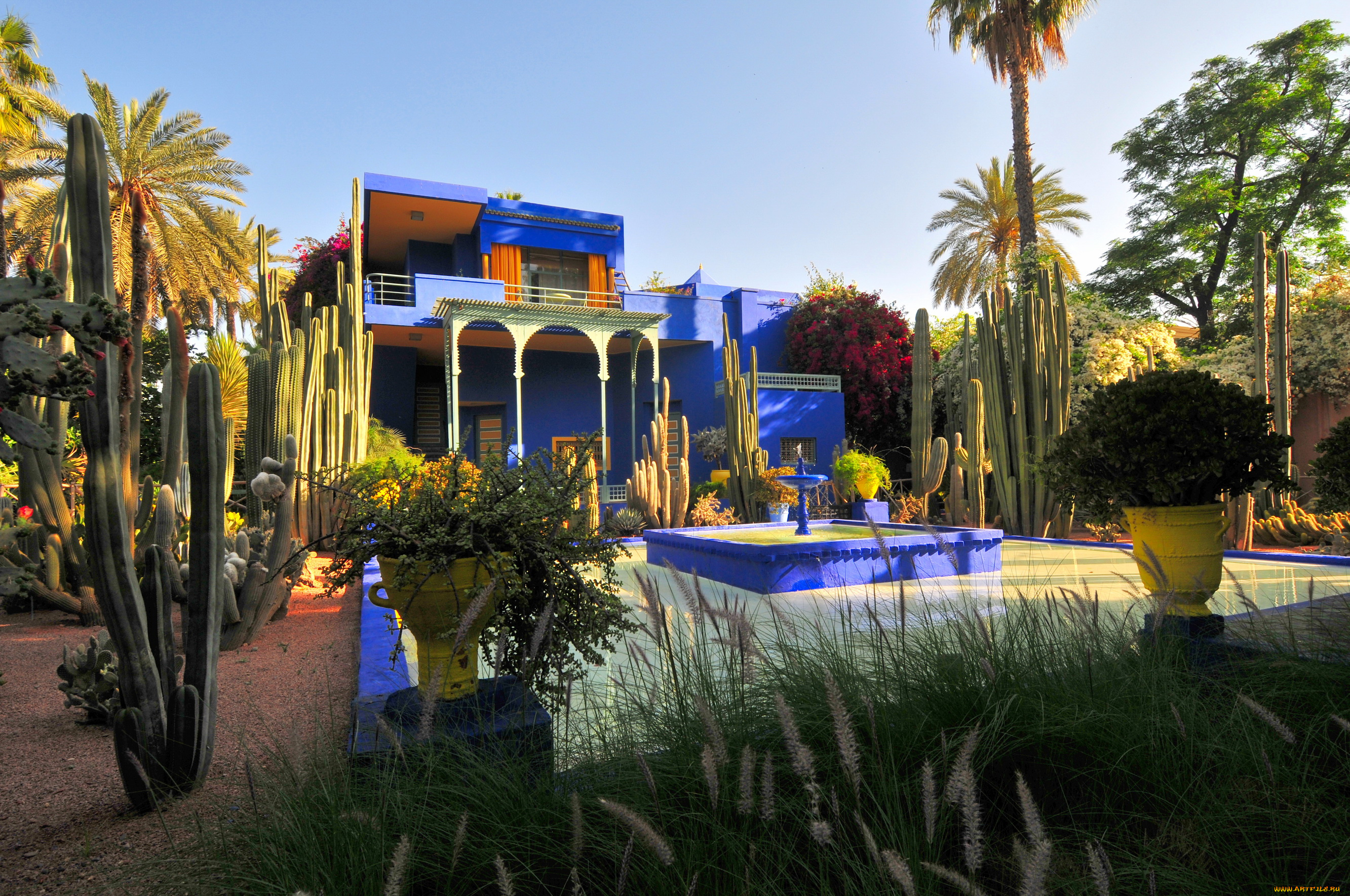 morocco, marrakech, jardin, majorelle, города, здания, дома, сад, королевский