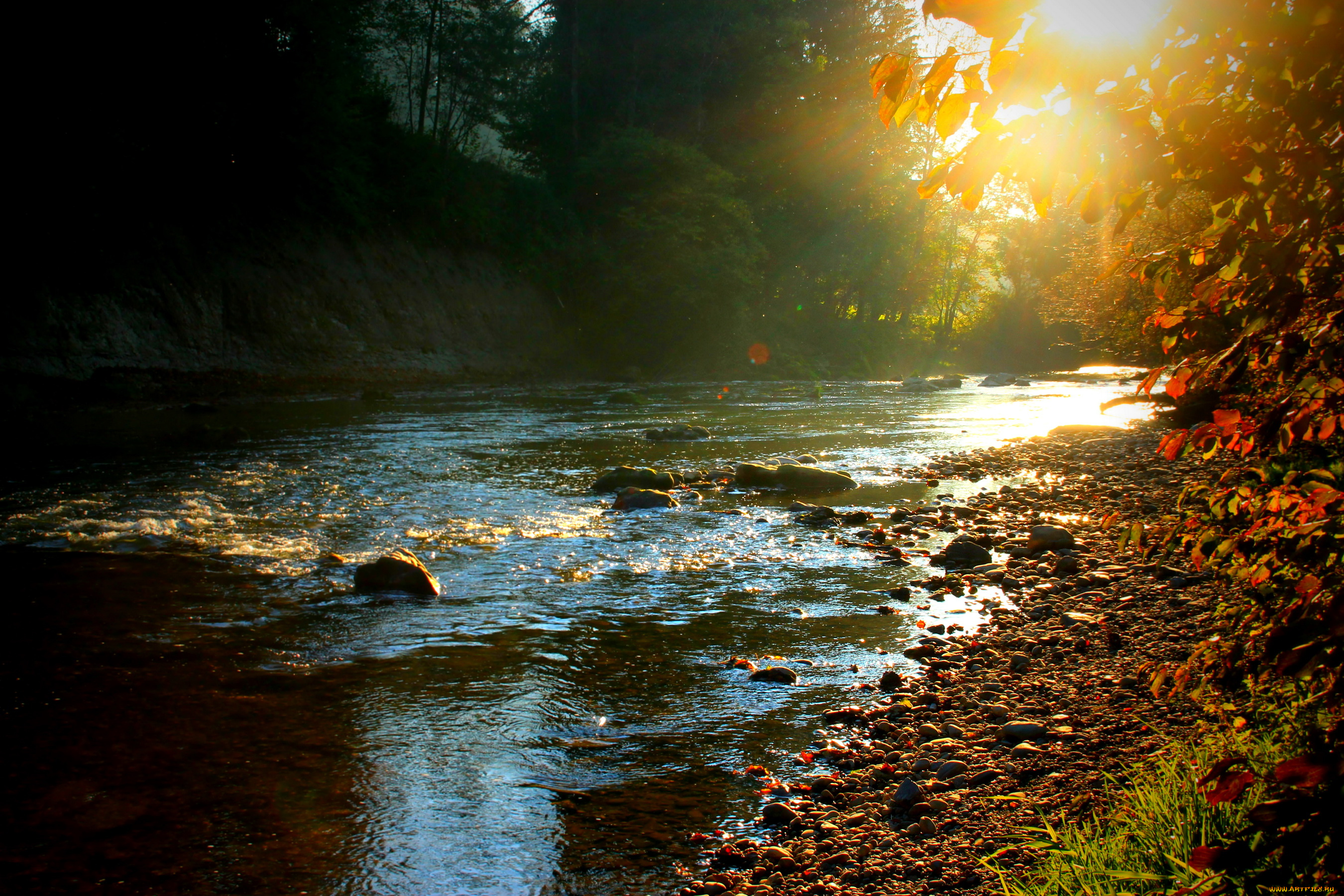 германия, амтцелль, природа, реки, озера, лес, река, закат, осень