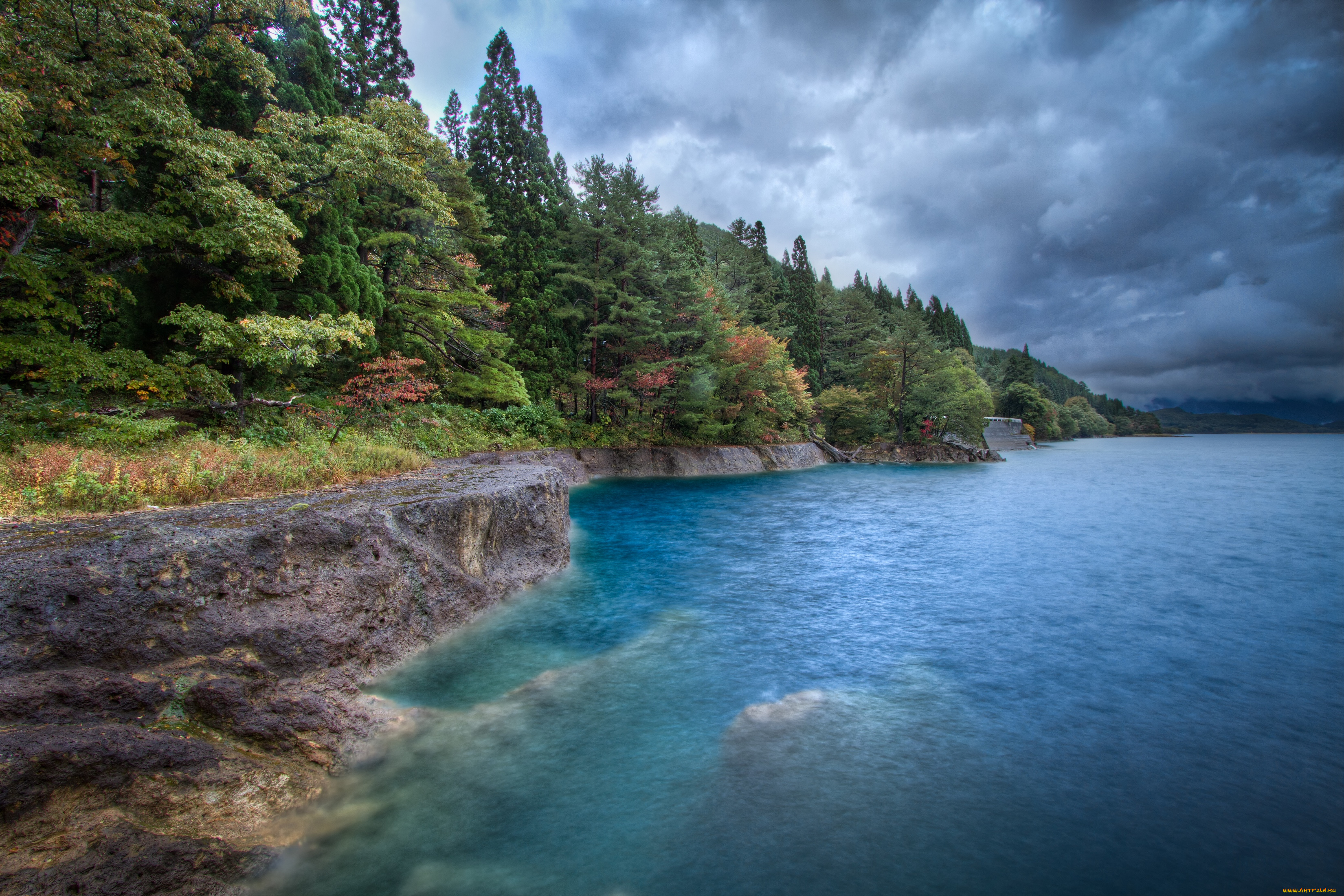 природа, побережье, вода, деревья, лес