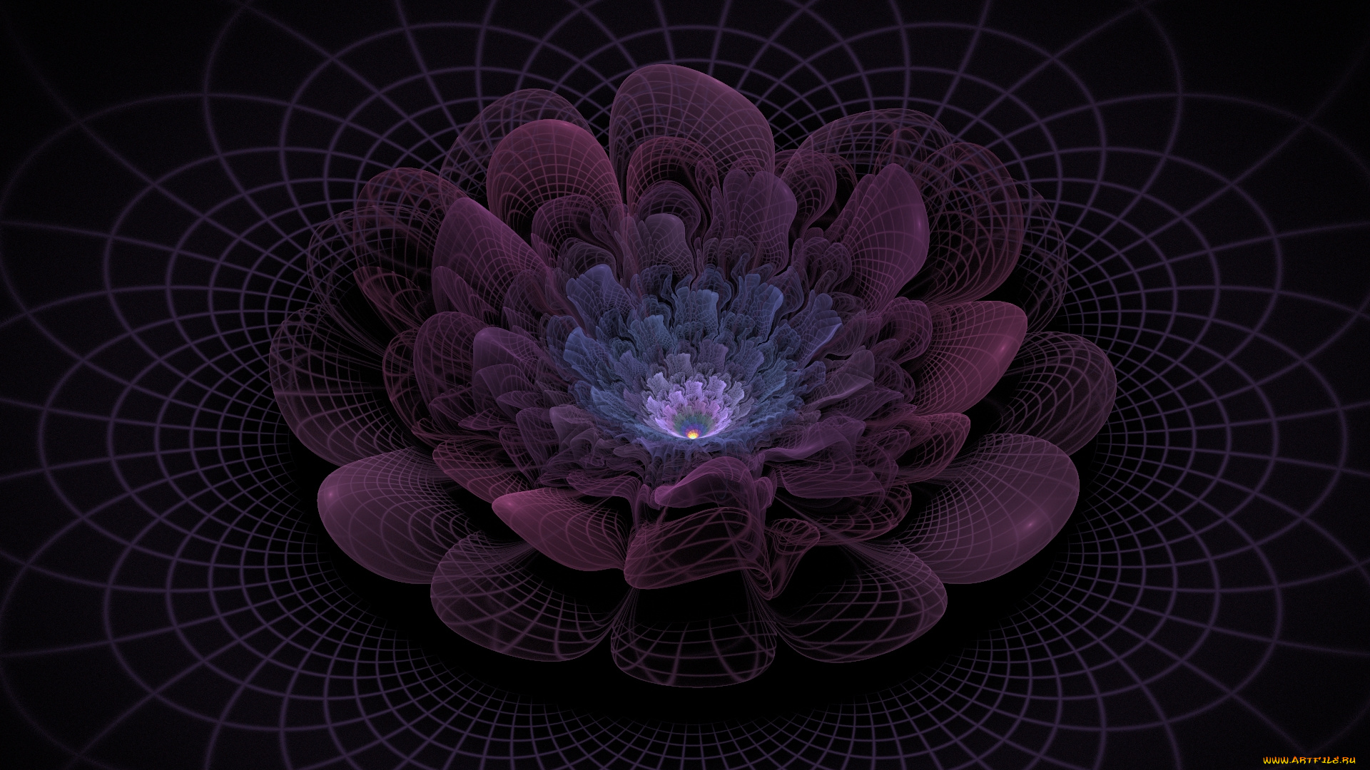 3д, графика, flowers, цветы, фон, узор, лепестки