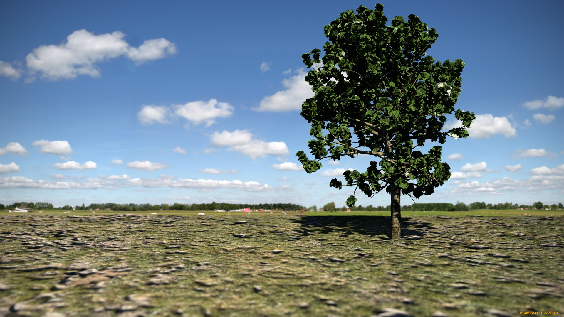 3д, графика, nature, landscape, природа, дерево, облака