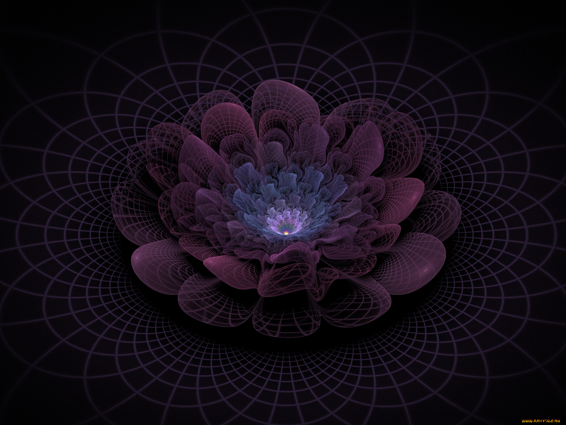 3д, графика, flowers, цветы, фон, узор, лепестки