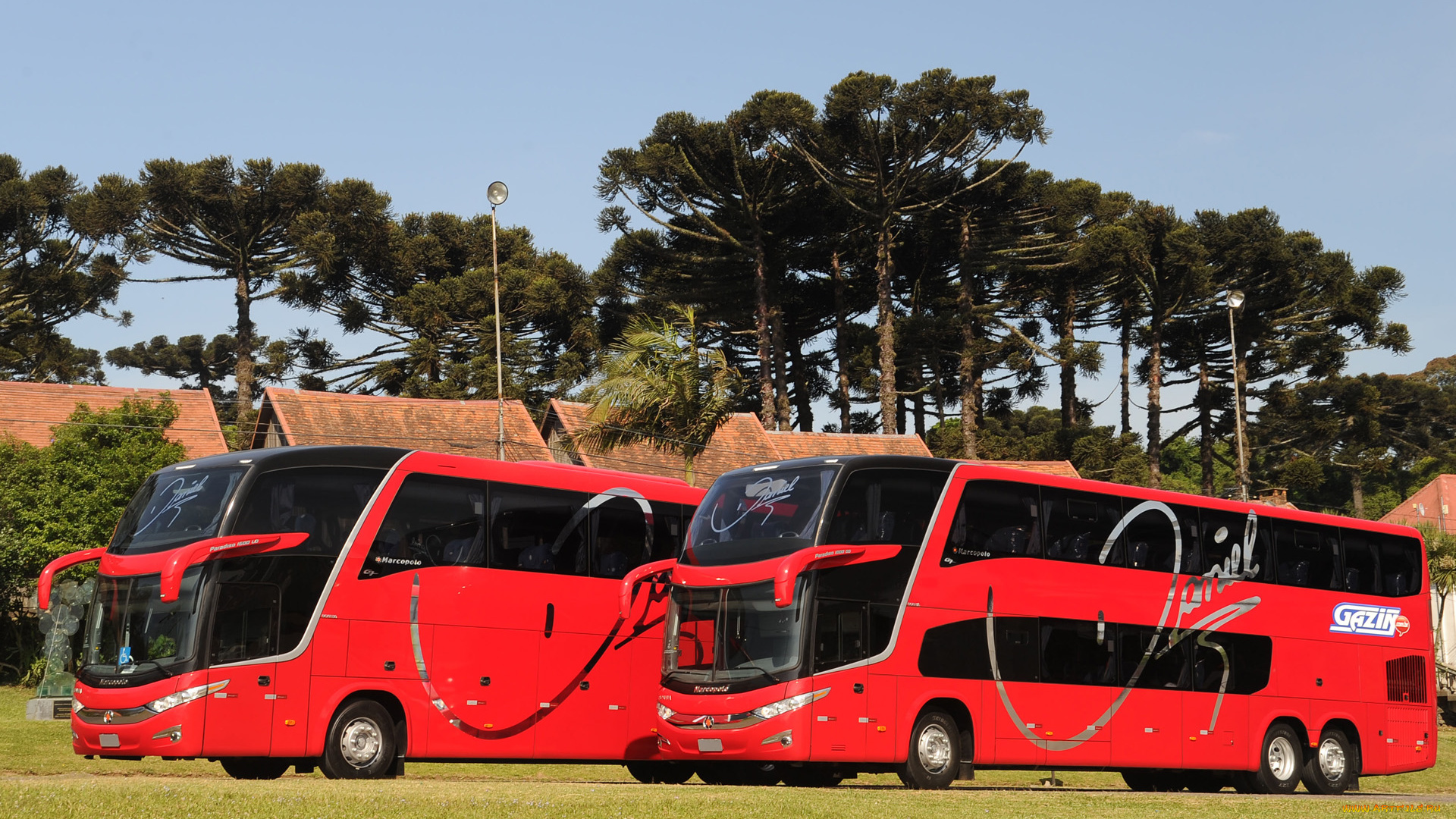 автомобили, автобусы, marcopolo