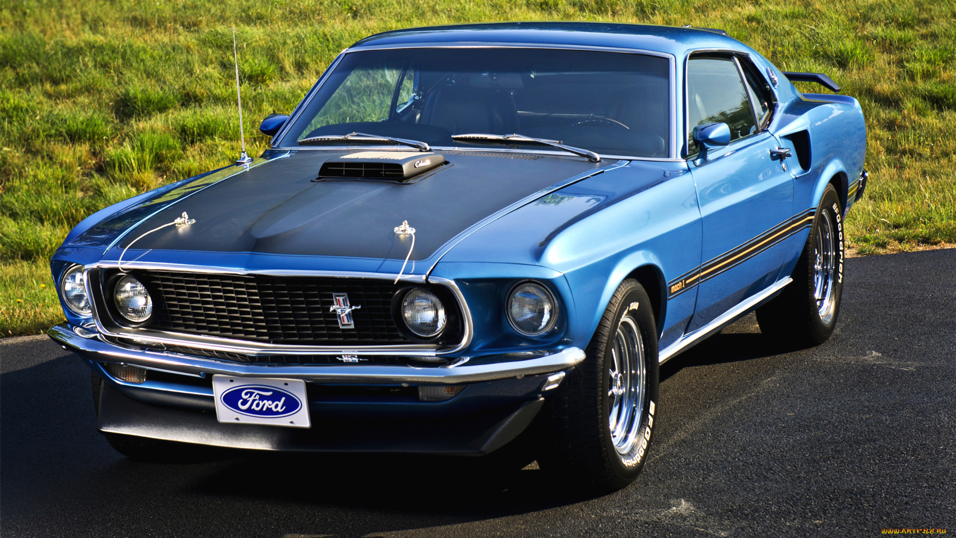 автомобили, mustang