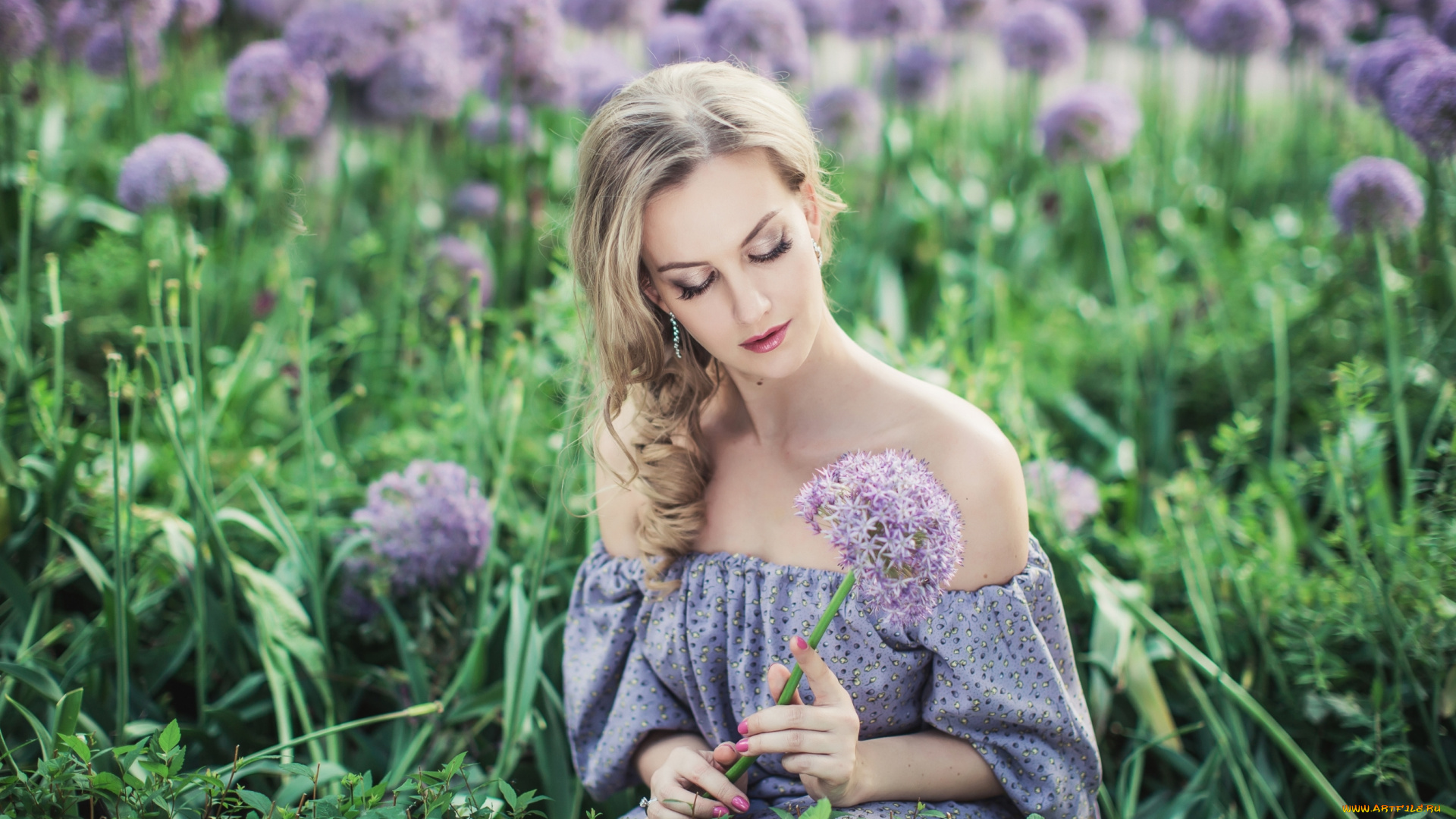 девушки, -unsort, , блондинки, волосы, алиум