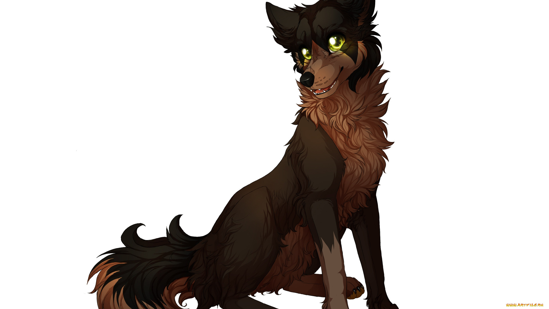 рисованные, животные, , собаки, белый, фон, животное