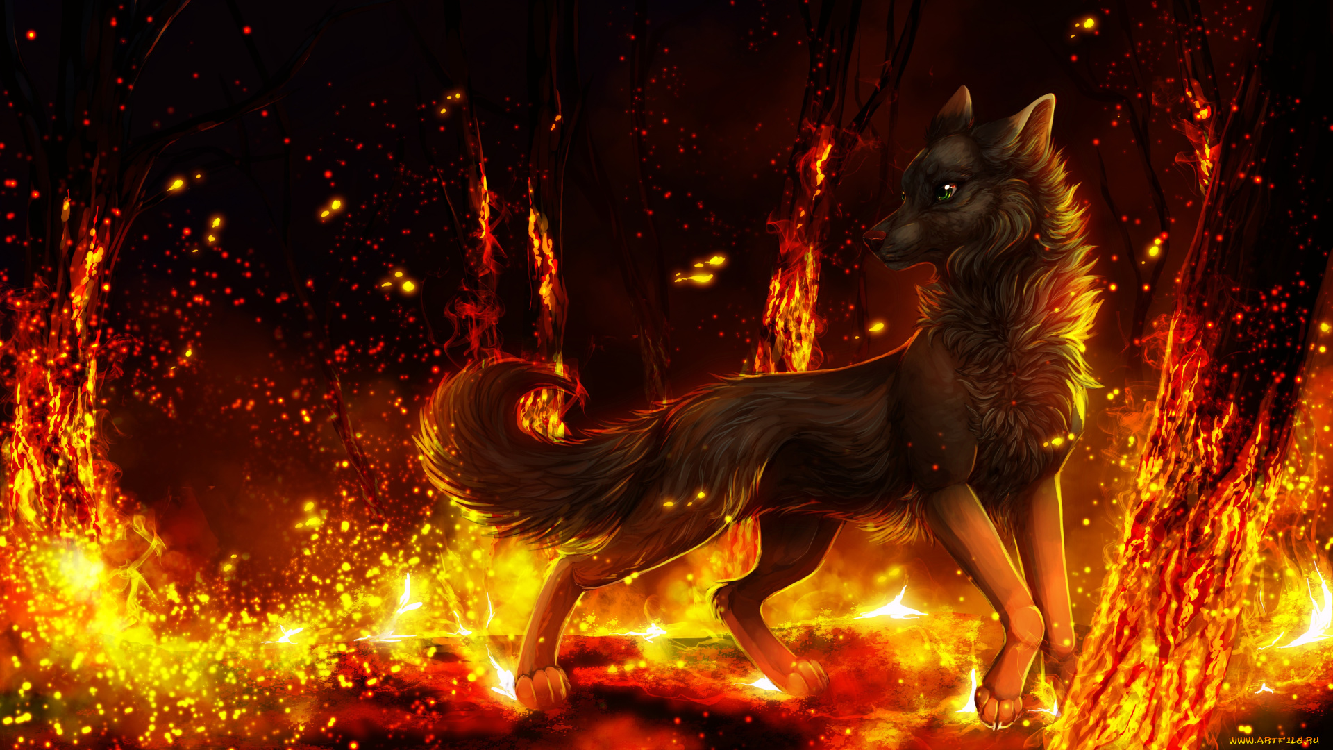 рисованные, животные, , собаки, животное, волк, огонь, пламя