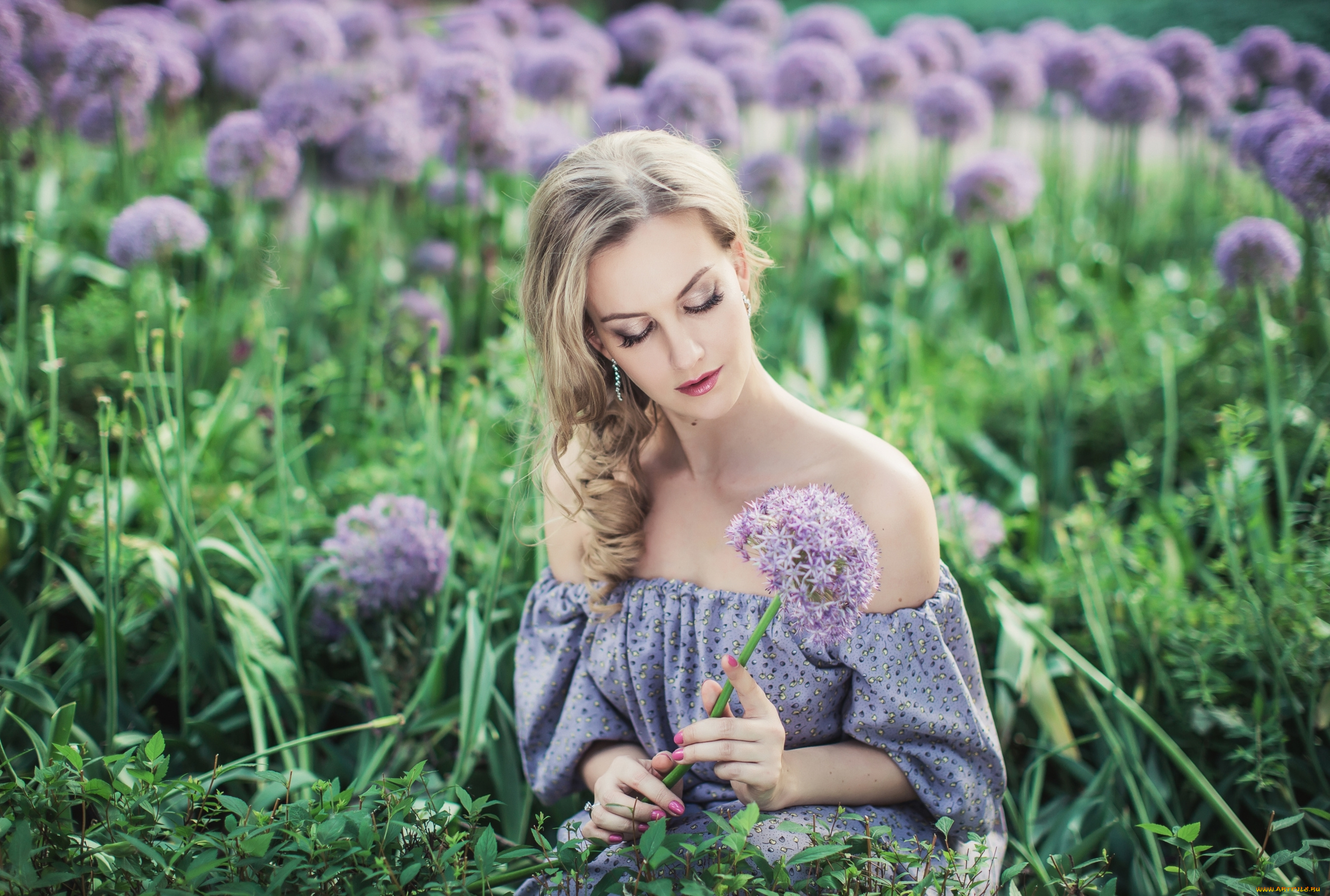 девушки, -unsort, , блондинки, волосы, алиум