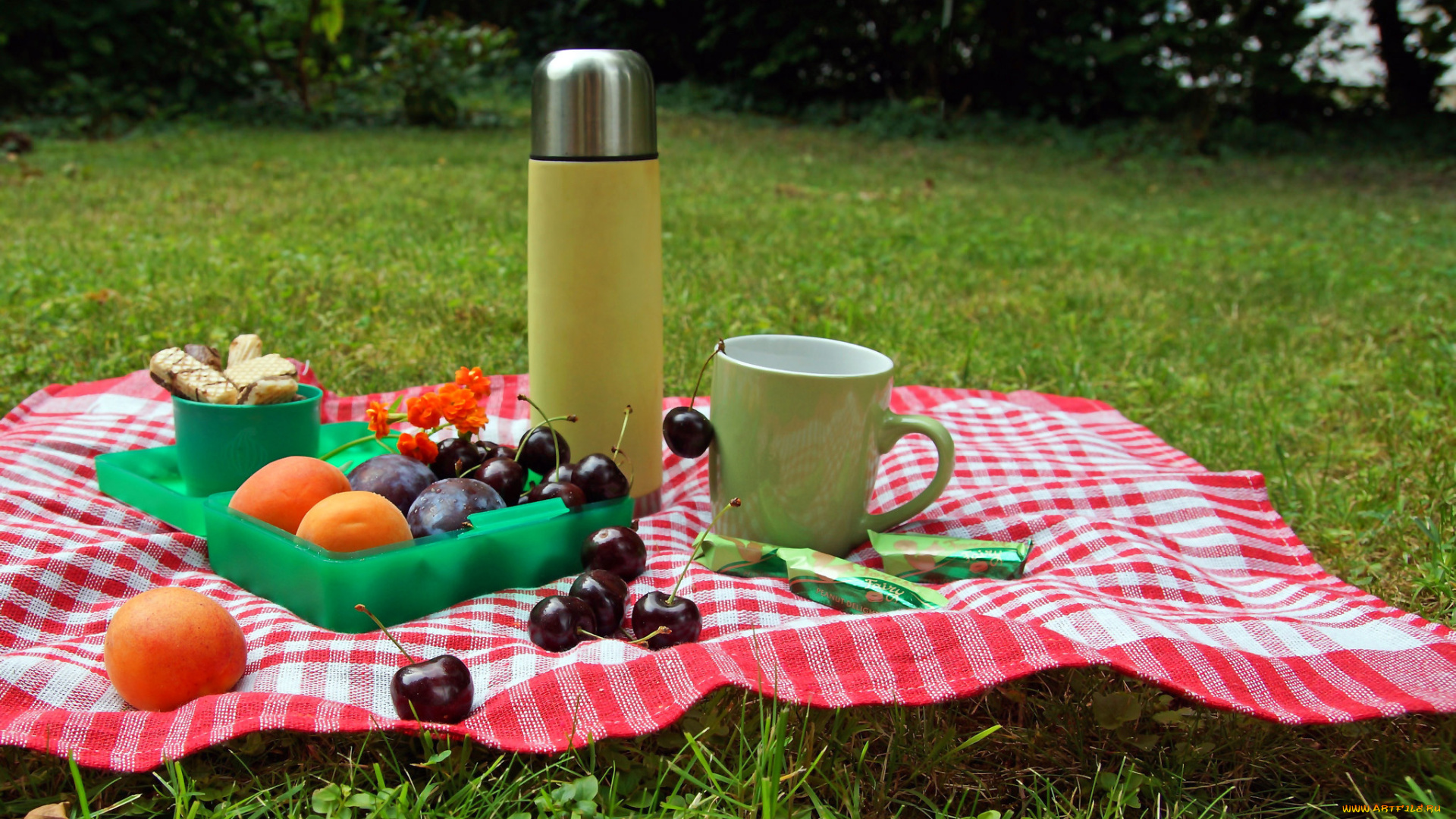 еда, фрукты, , ягоды, термос, вафли, вишни, ягоды, салфетка, чашка, сливы, персики, луг, пикник