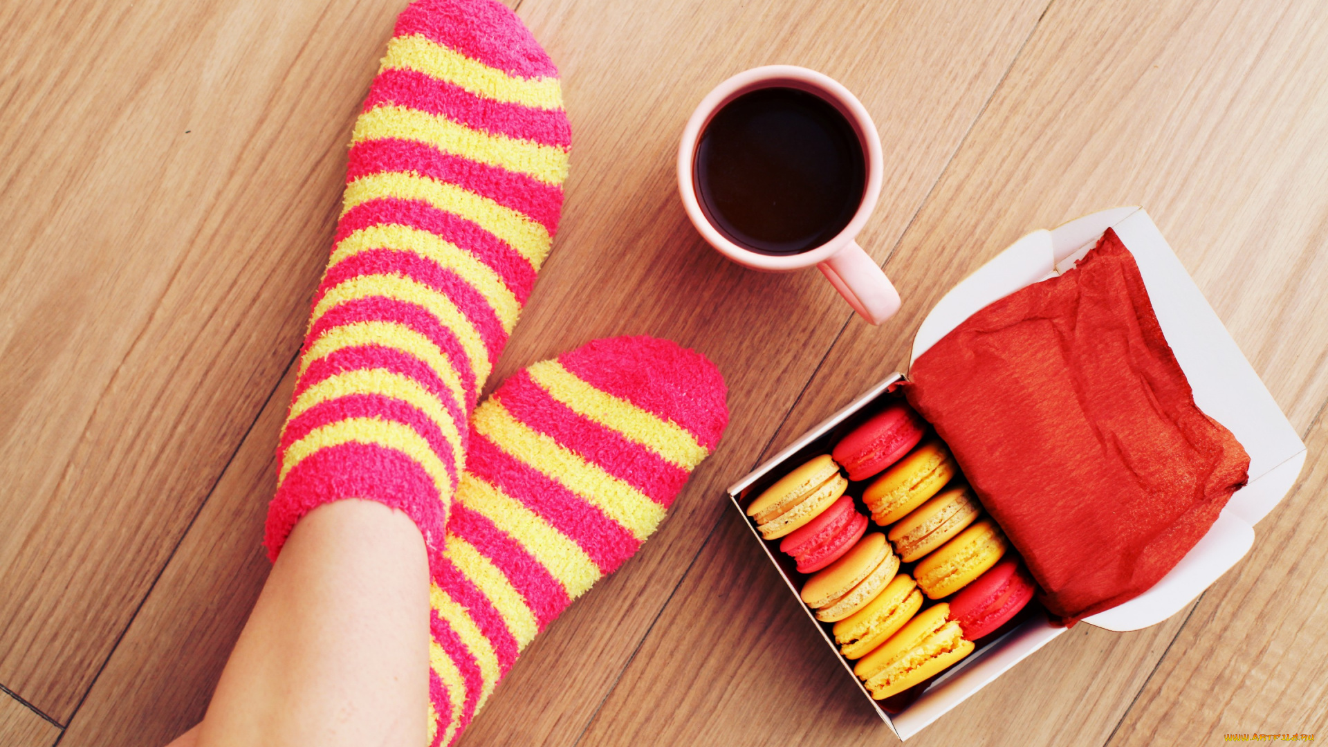 еда, макаруны, носки, макарун, ноги, чашка, socks, кофе, macaron, cup, coffee, печенье