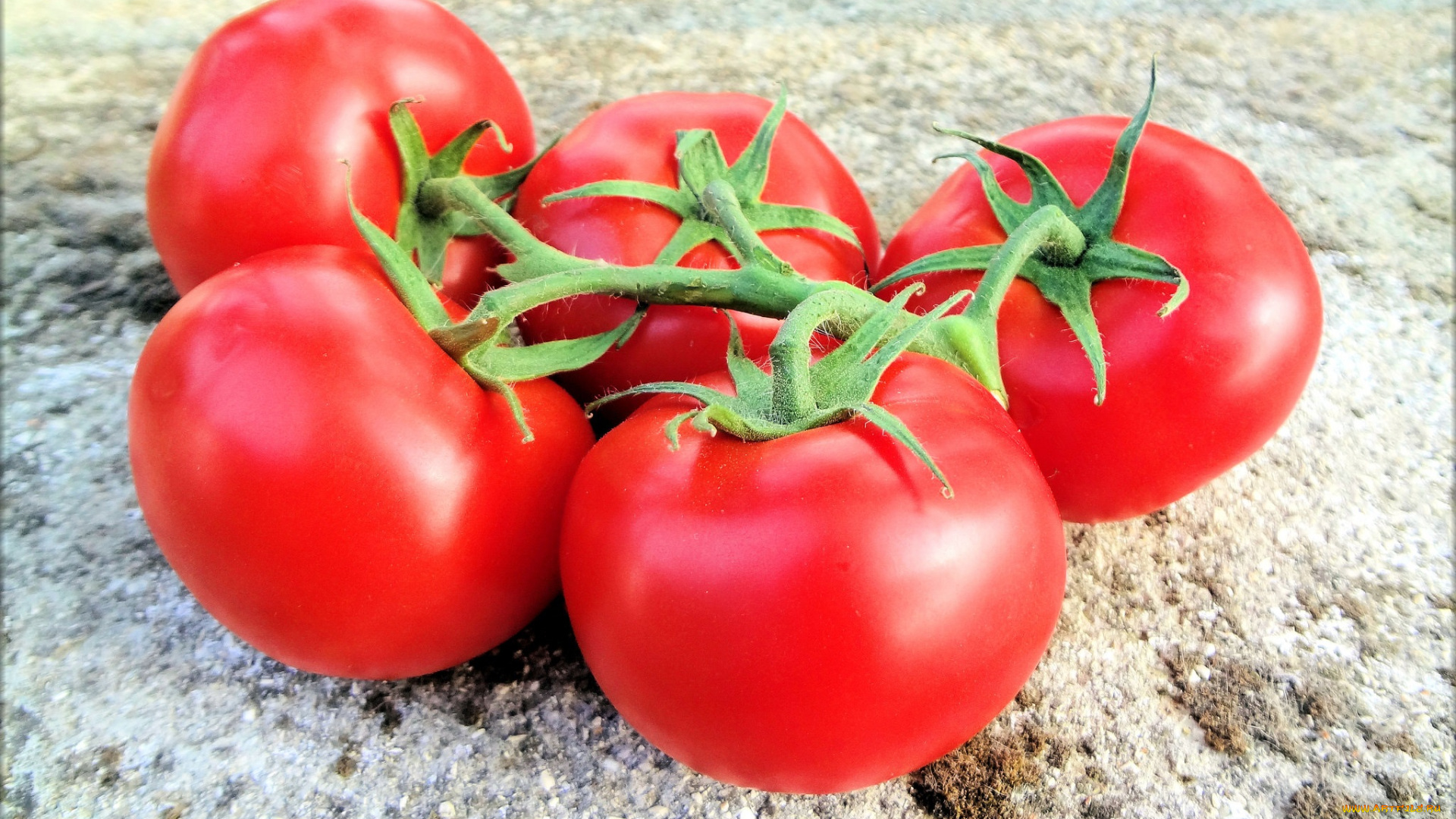 еда, помидоры, томаты