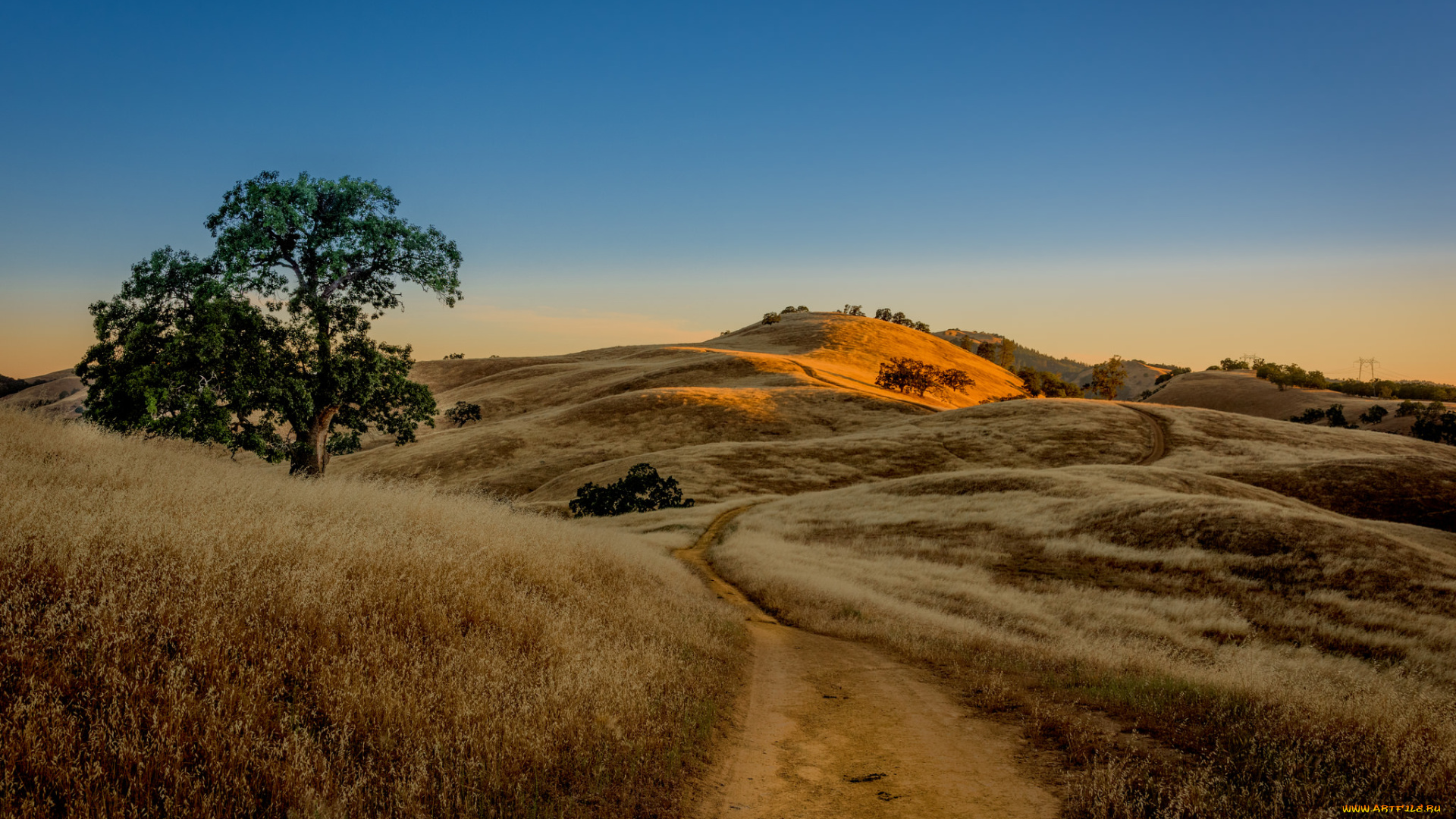 природа, дороги, холмы, трава, грунтовка