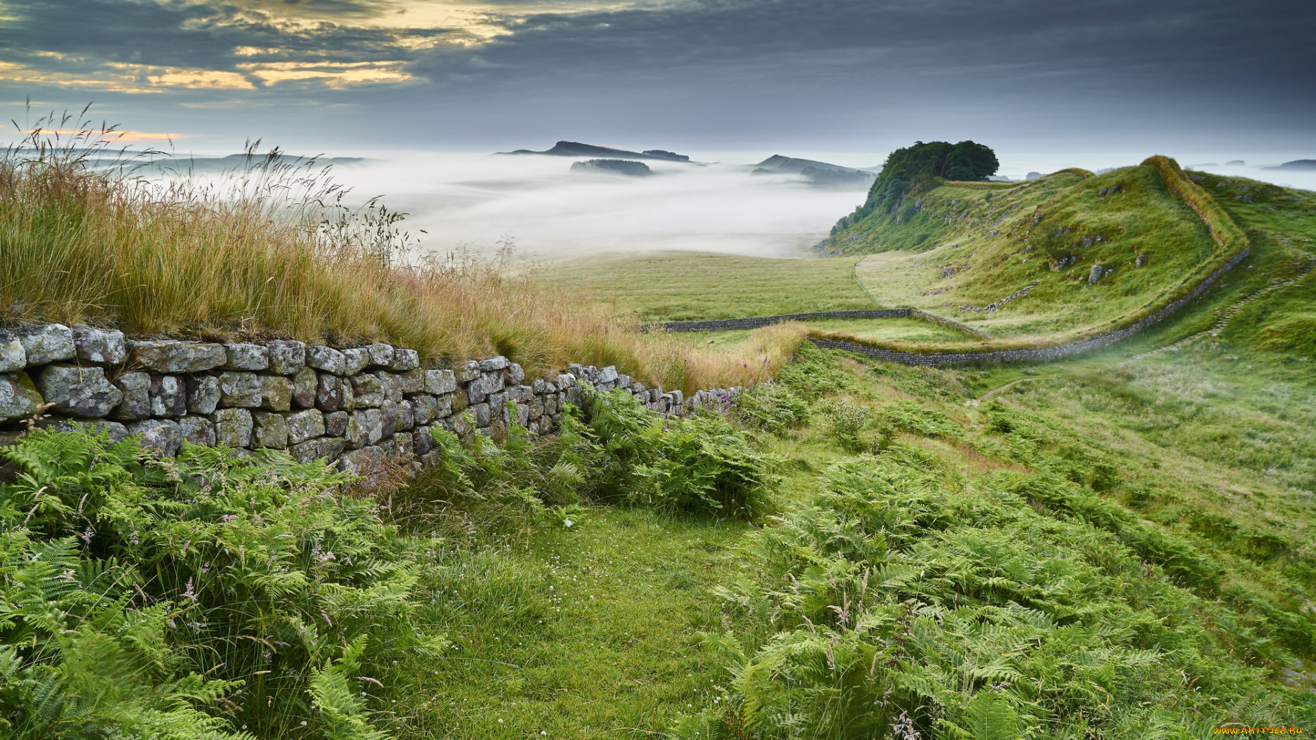 природа, пейзажи, туман, равнина