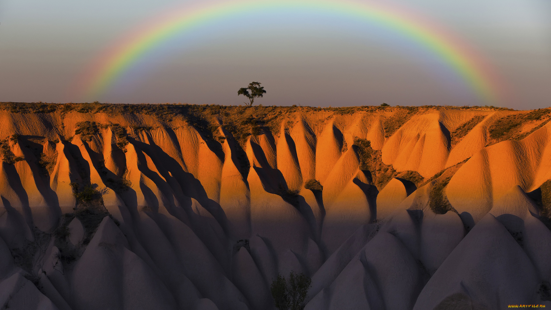 природа, радуга, небо, дерево, скалы, горы