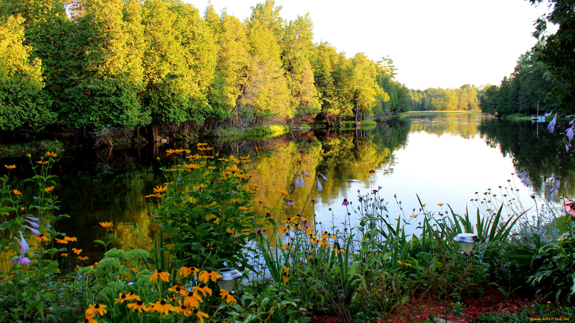 природа, реки, озера, река, лес