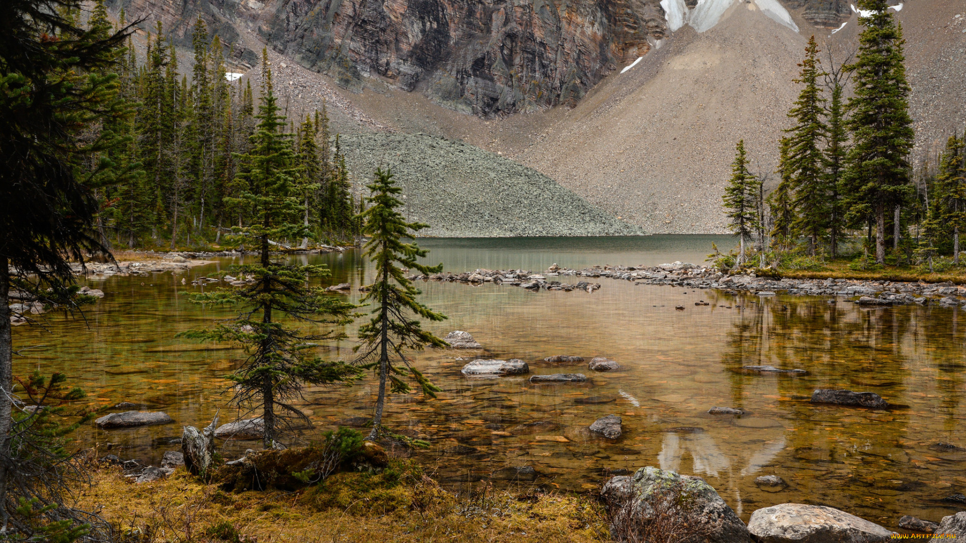 природа, реки, озера, река, лес, горы