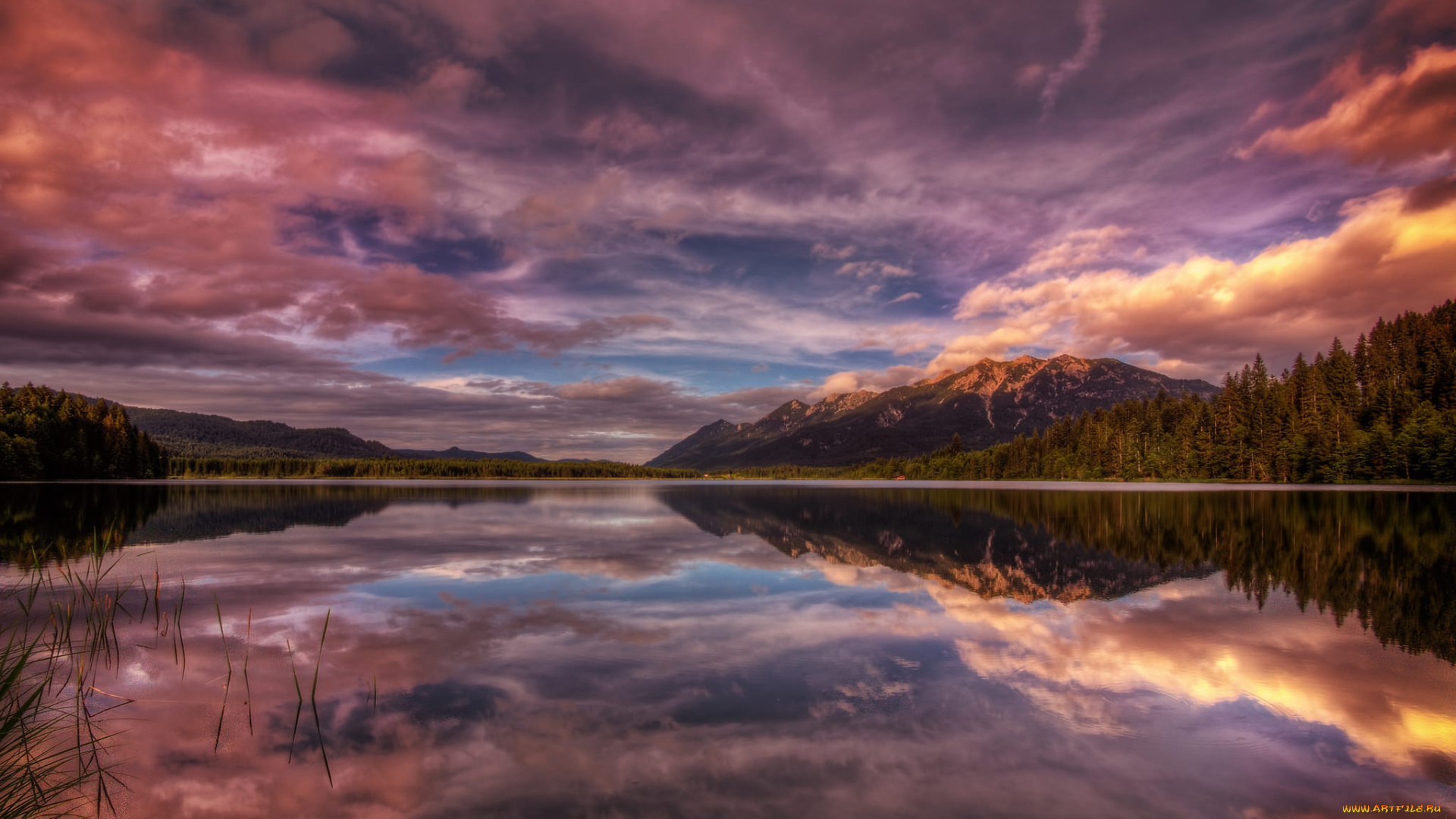 природа, реки, озера, река, лес, горы