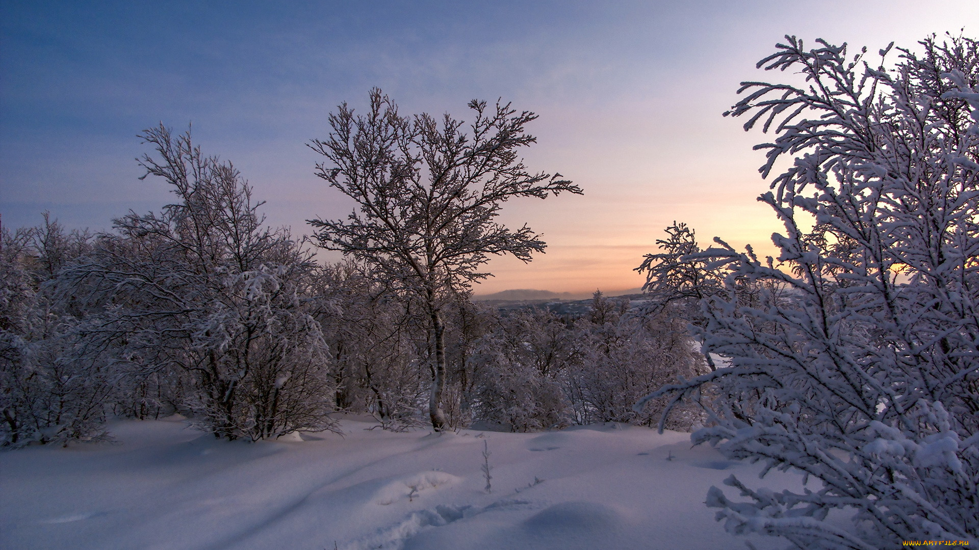 природа, зима, снег, деревья, закат