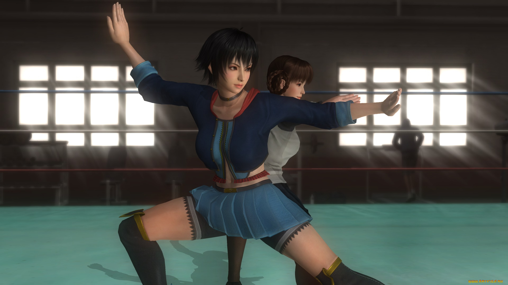 видео, игры, dead, or, alive, 5, девушки, взгляд, фон, поза