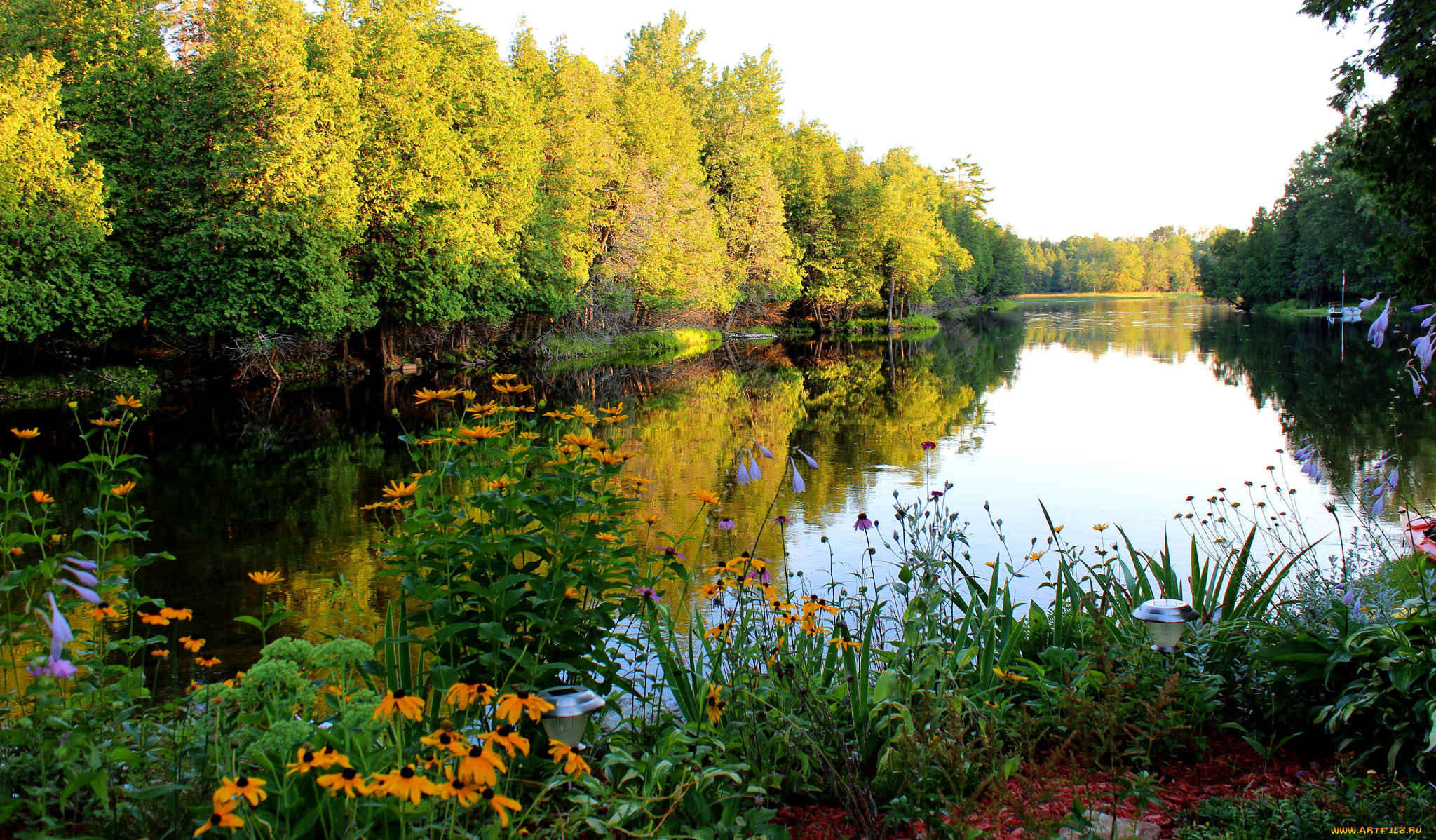 природа, реки, озера, река, лес