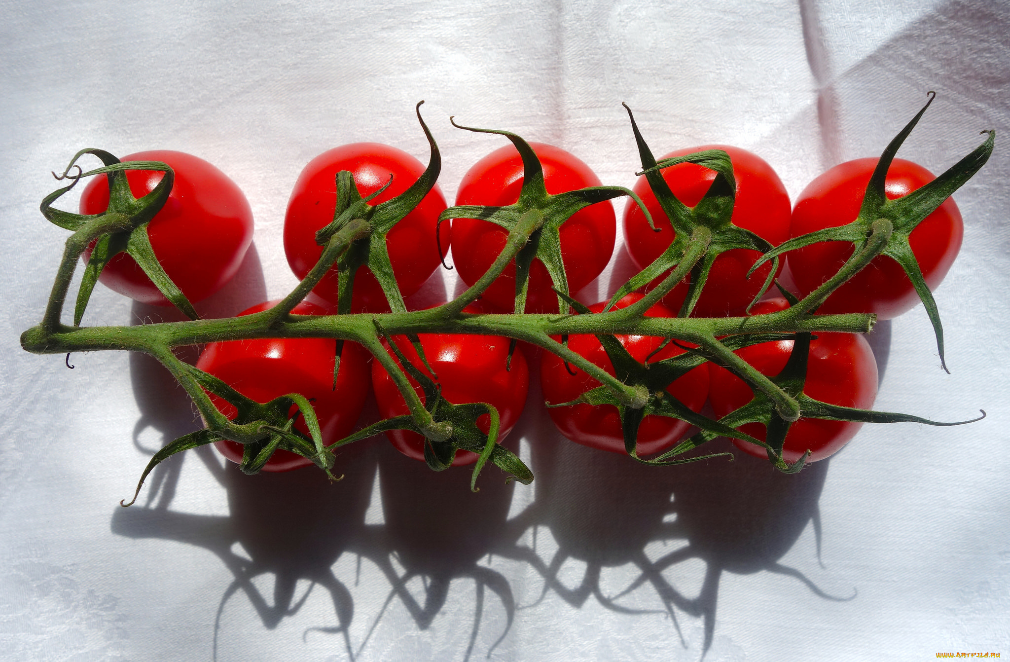 еда, помидоры, томаты