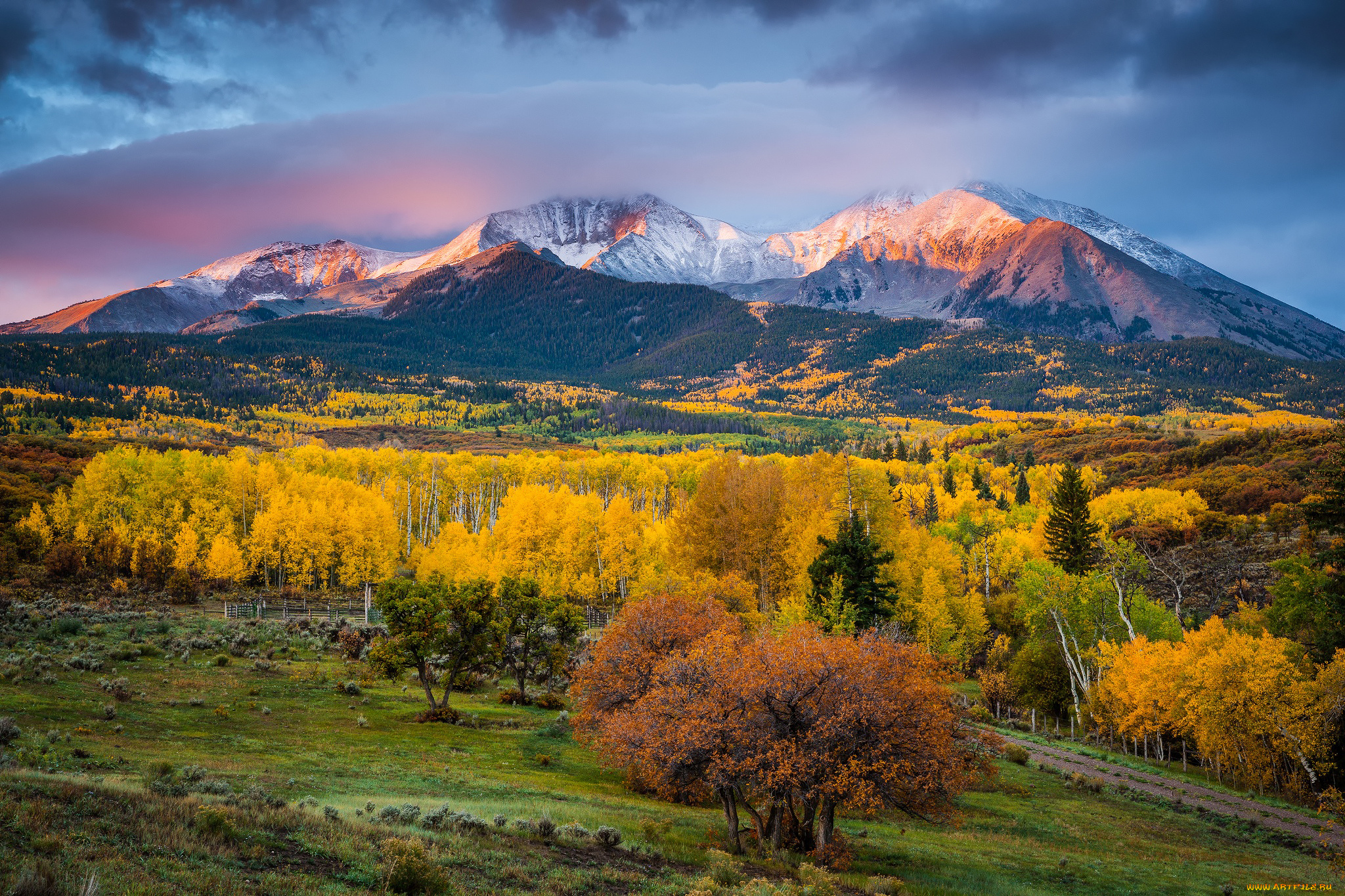 природа, горы, штат, сша, краски, деревья, свет, утро, mount, sopris, осень, колорадо