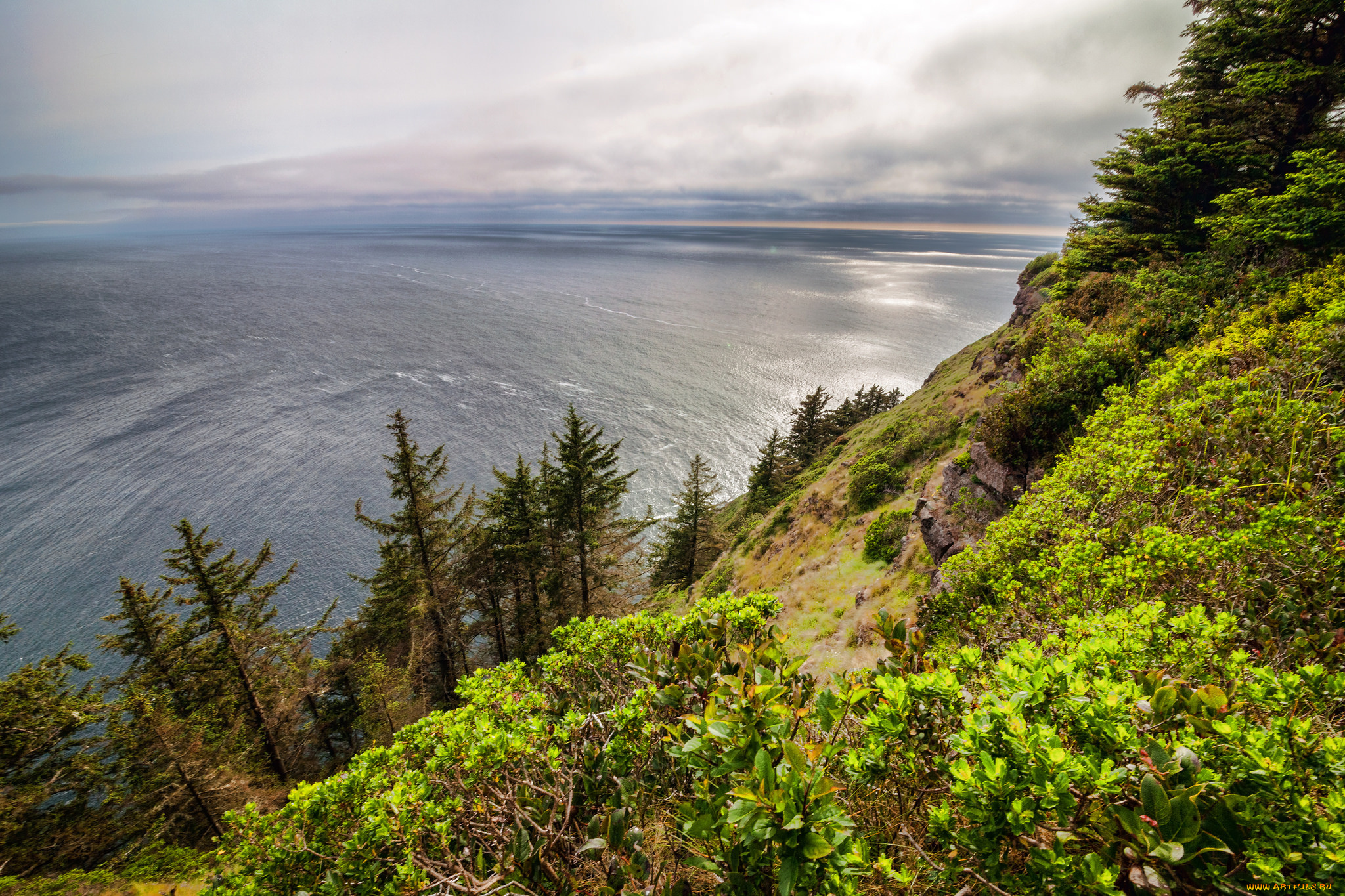 природа, побережье, океан, берег, лес