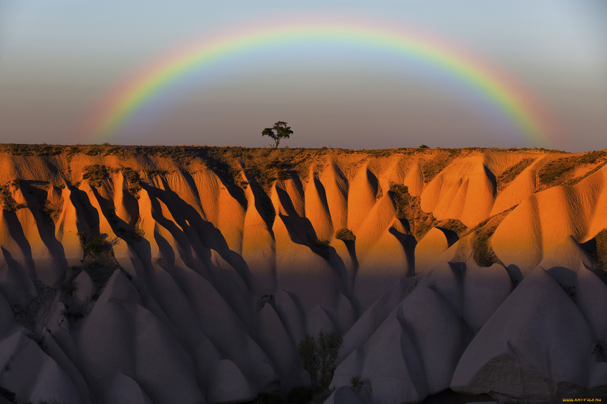 природа, радуга, небо, дерево, скалы, горы