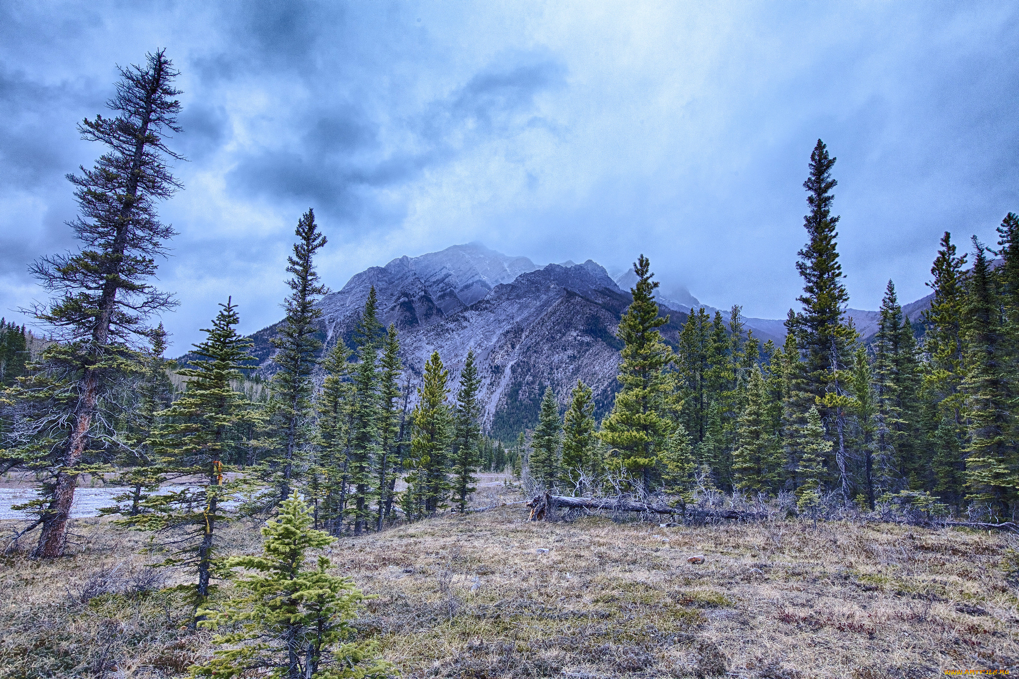 природа, реки, озера, горы, река, лес