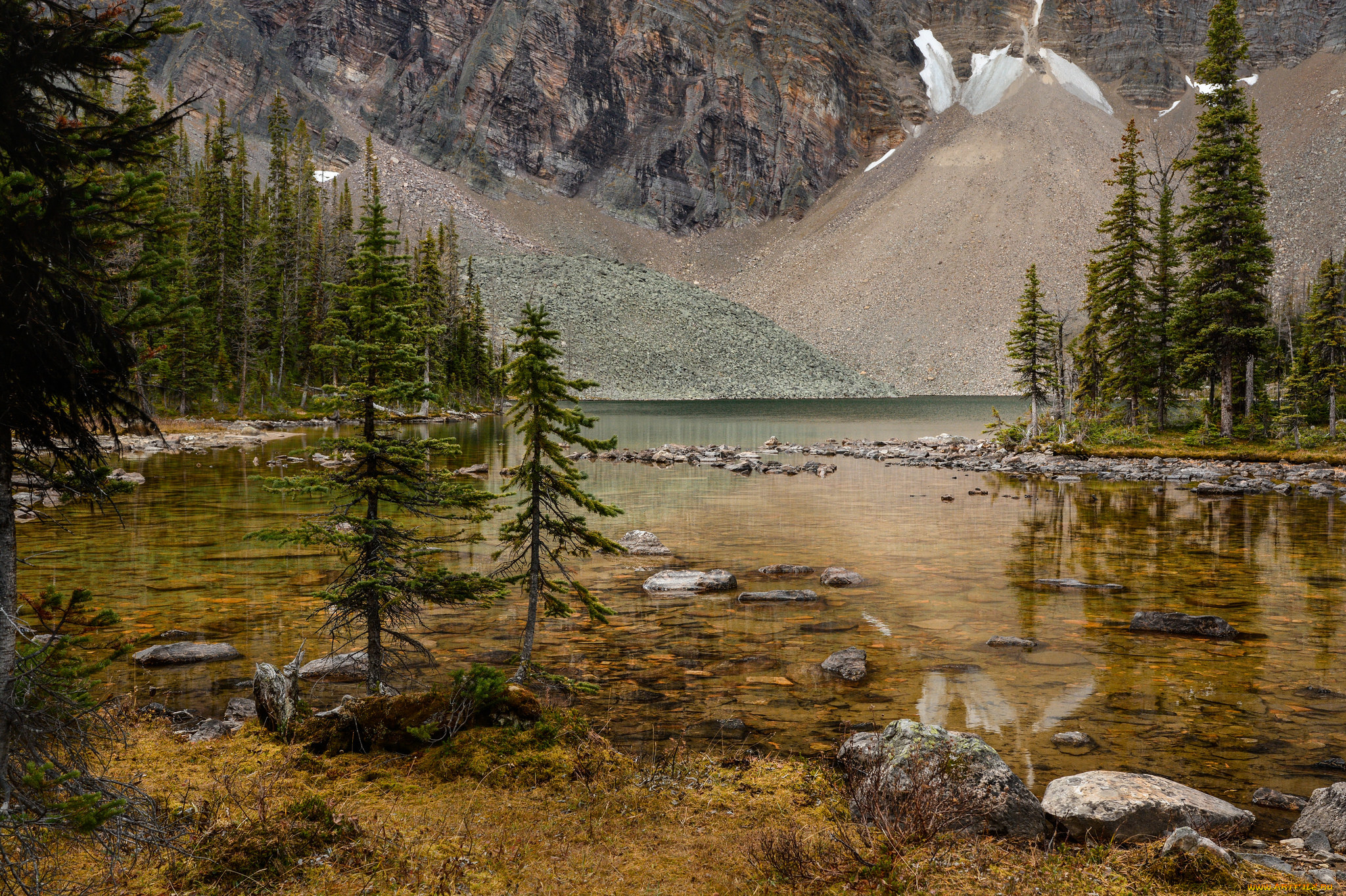 природа, реки, озера, река, лес, горы