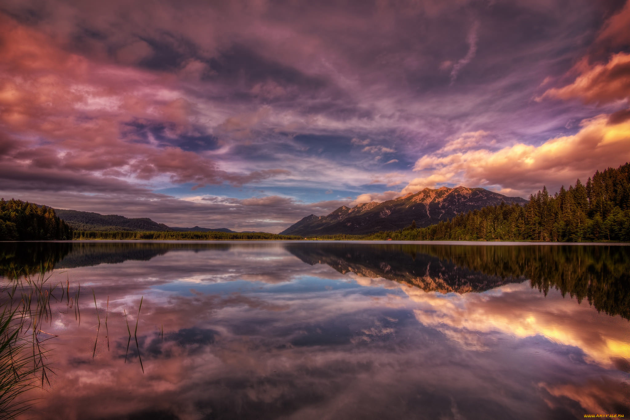 природа, реки, озера, река, лес, горы