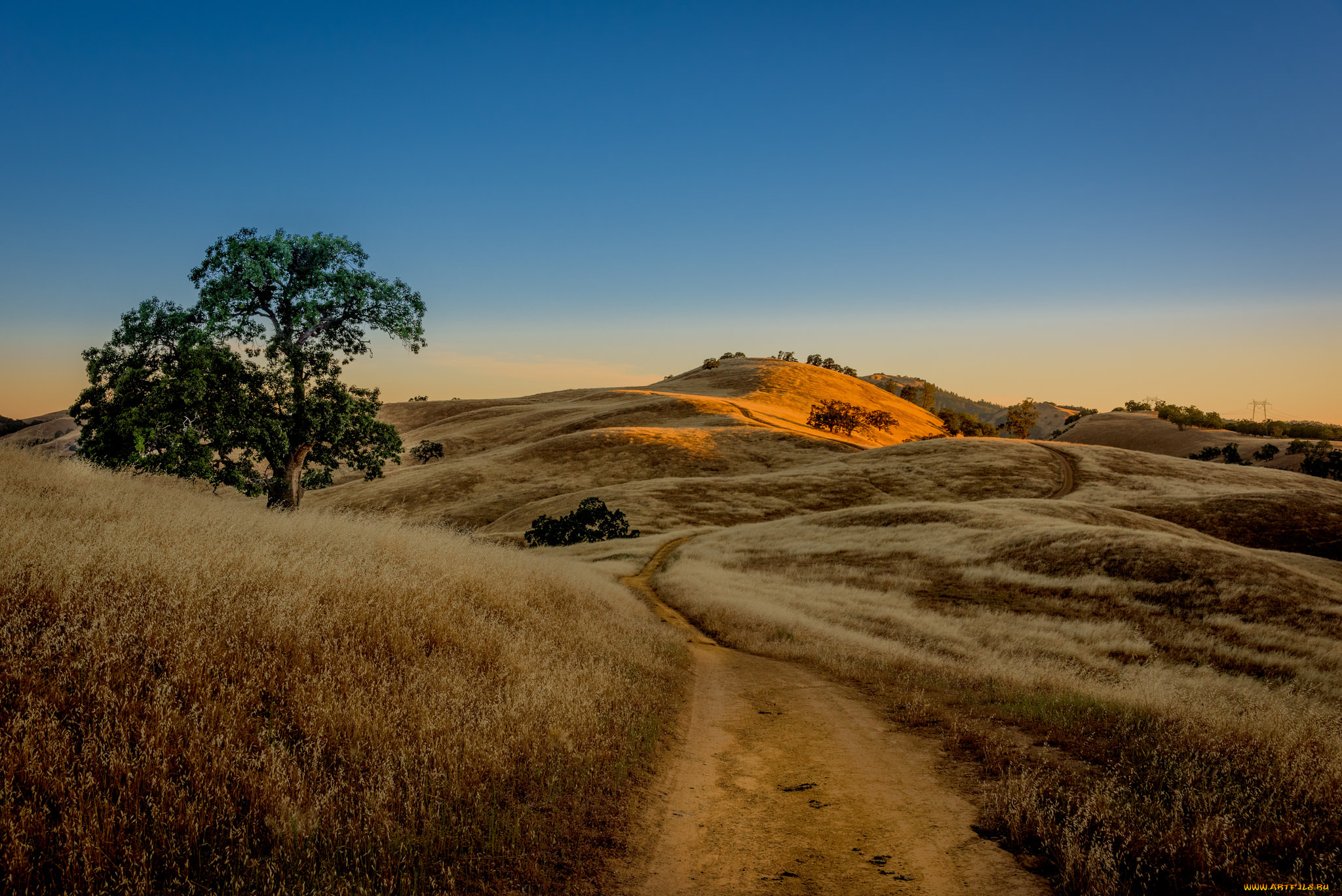 природа, дороги, холмы, трава, грунтовка