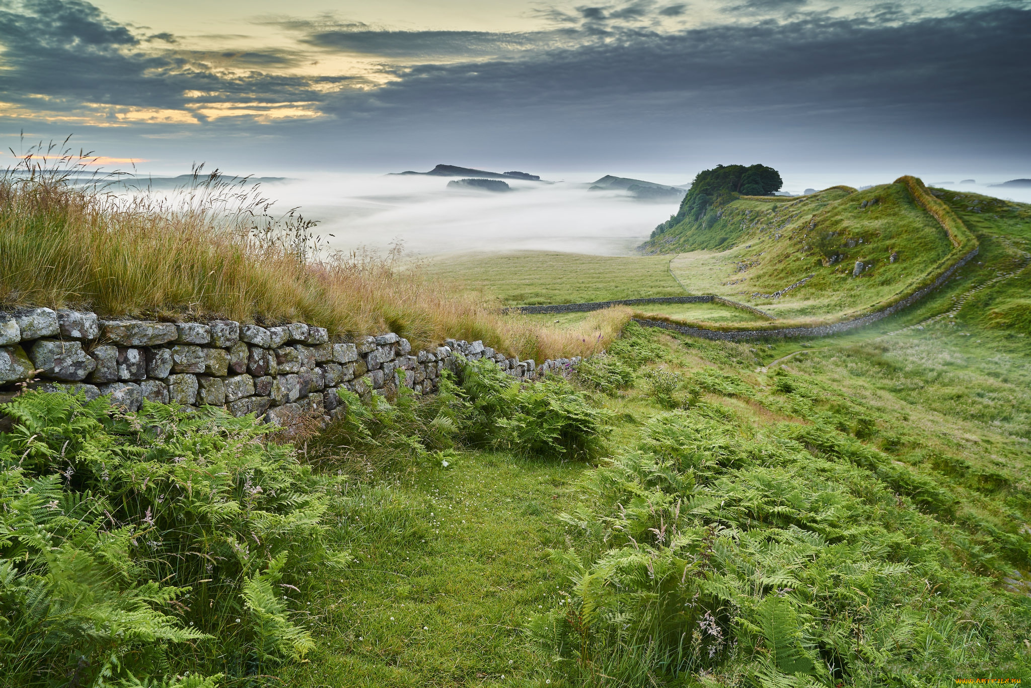 природа, пейзажи, туман, равнина