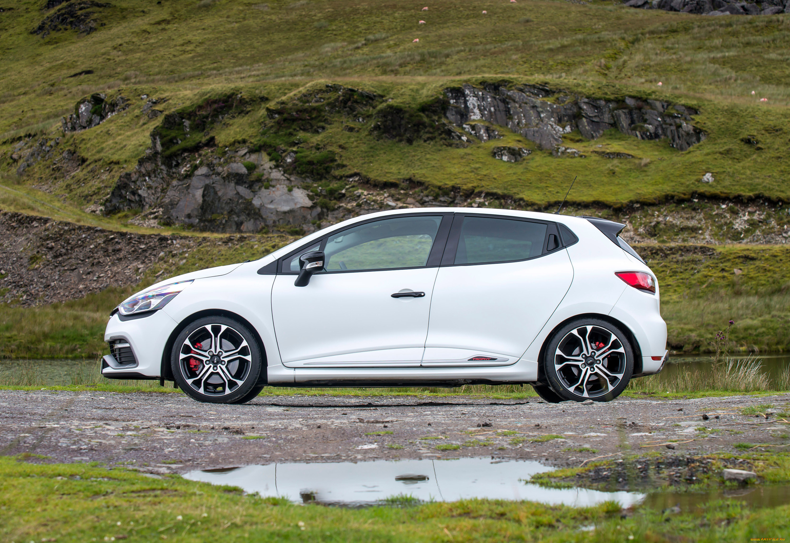 автомобили, renault, светлый, trophy, clio, renaultsport, 220, 2015г