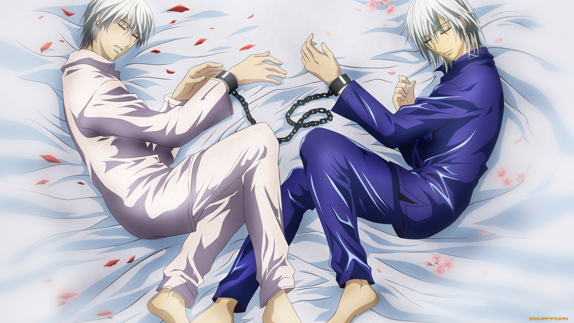 аниме, vampire, knight, персонажи